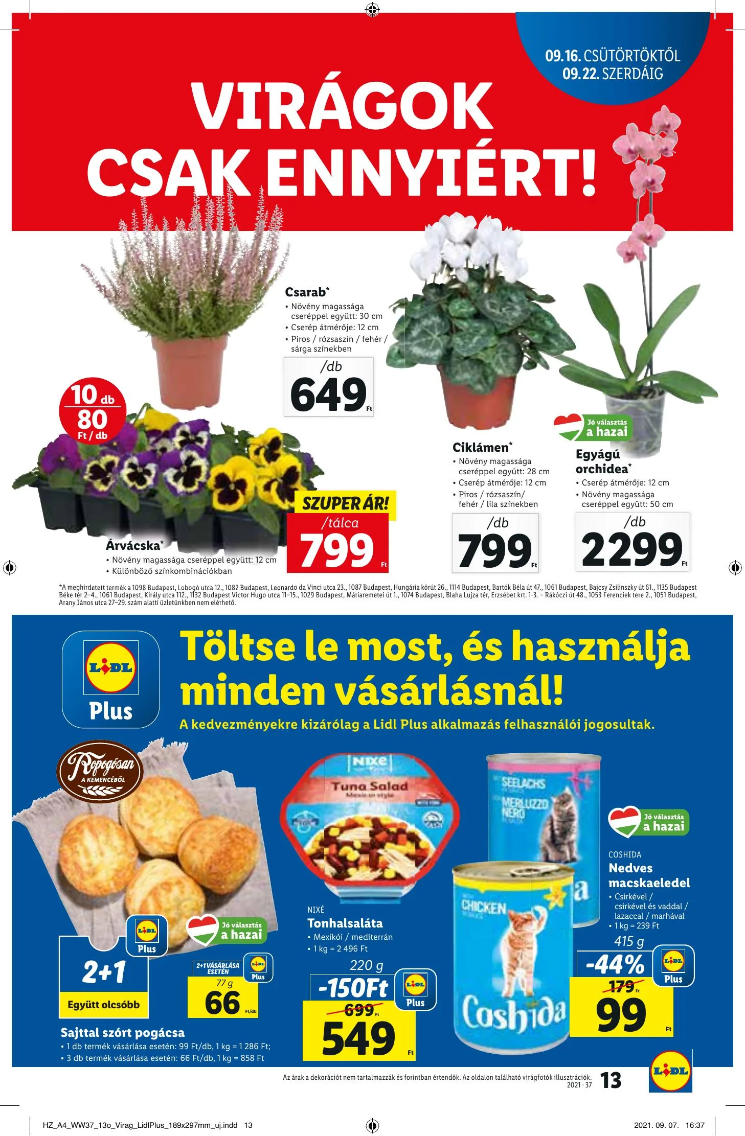 Lidl akciós újság 09.16–09.22 – 13. oldal