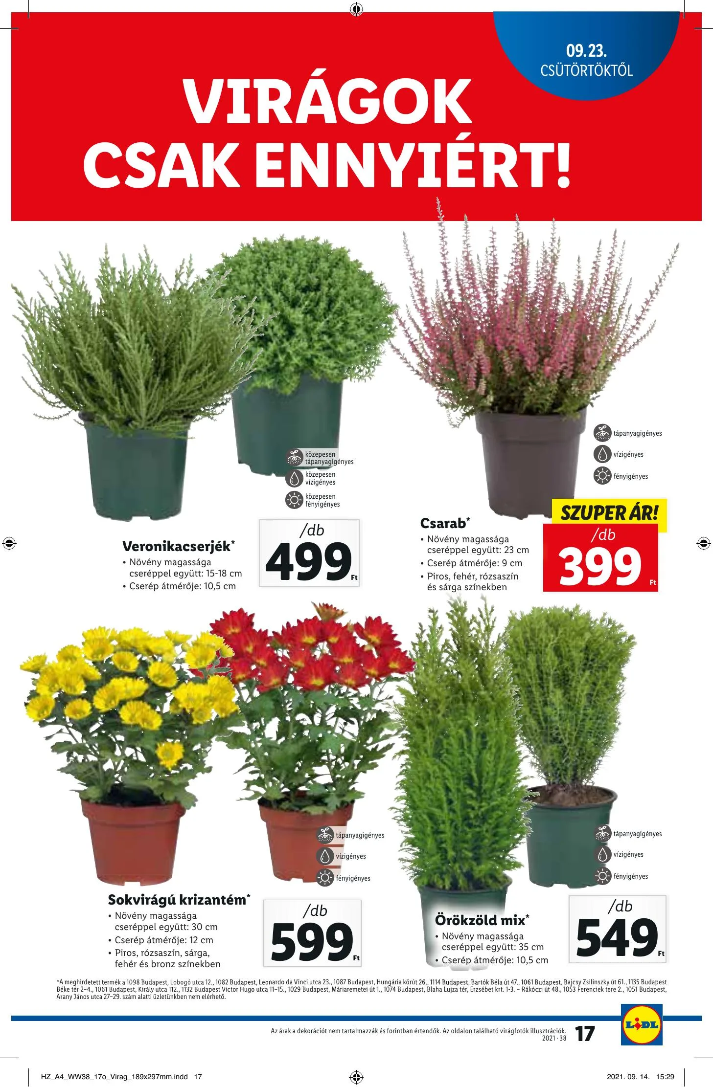 Lidl akciós újság 09.23–09.29 – 17. oldal