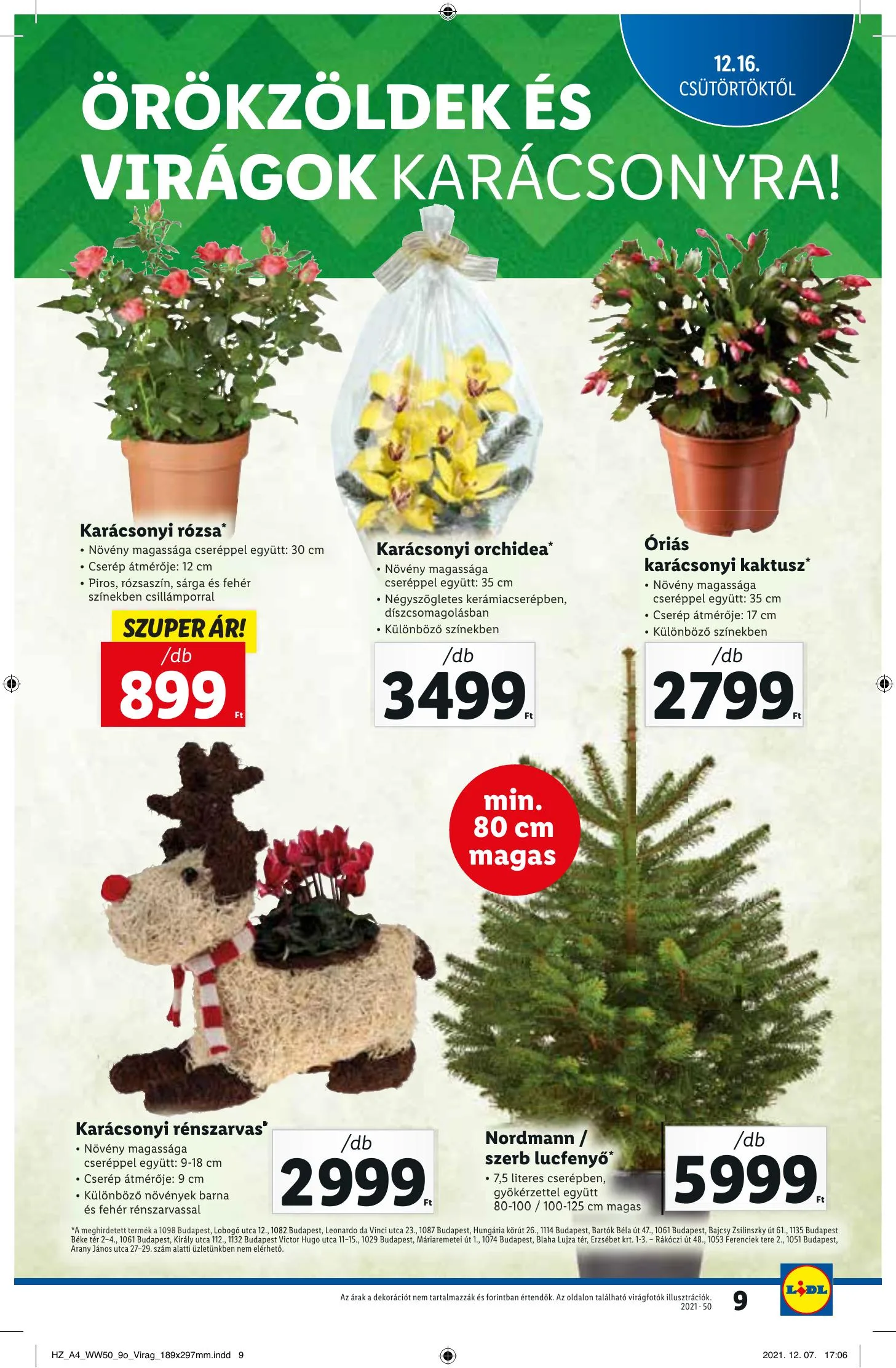Lidl akciós újság 12.16–12.22 – 9. oldal