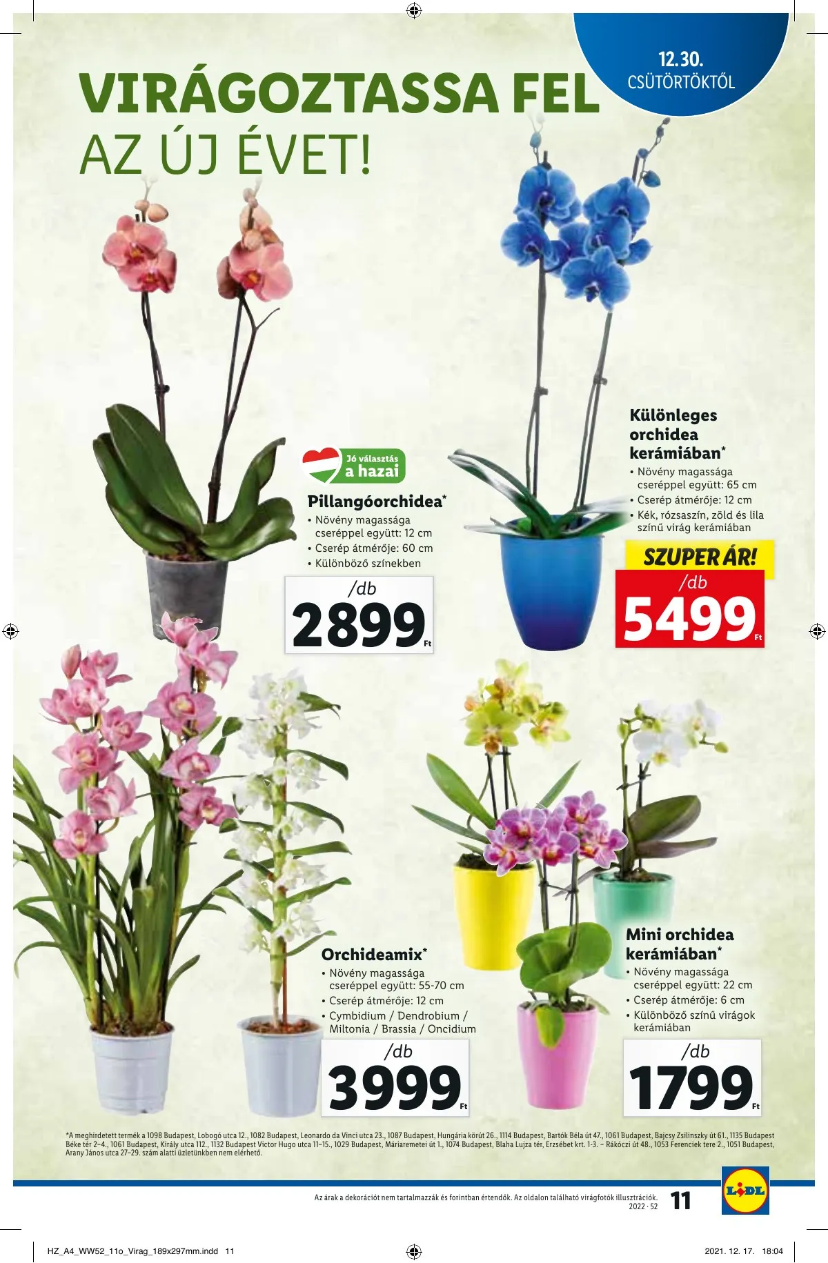 Lidl akciós újság 12.30–01.05 – 11. oldal