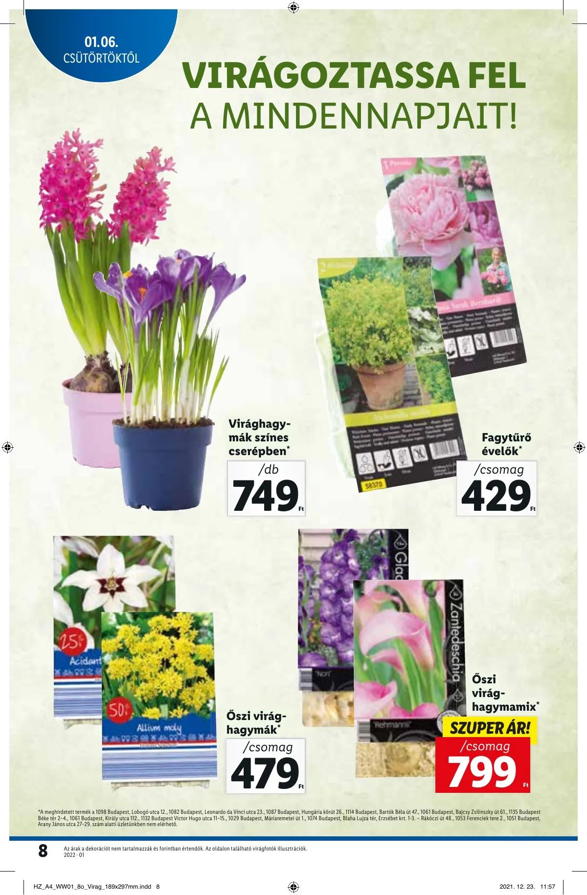 Lidl akciós újság 01.06–01.06 – 8. oldal