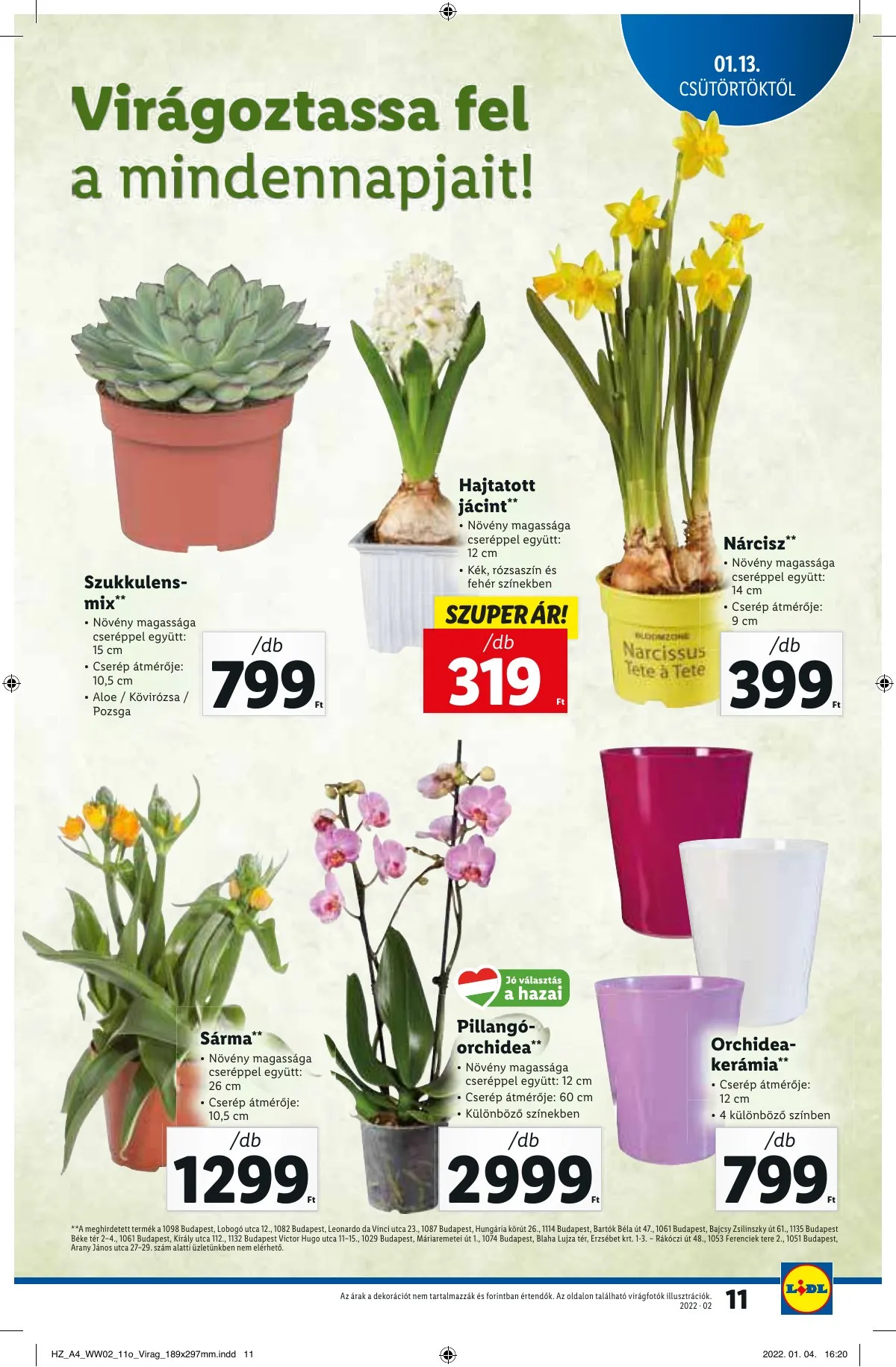 Lidl akciós újság 01.13–01.13 – 11. oldal