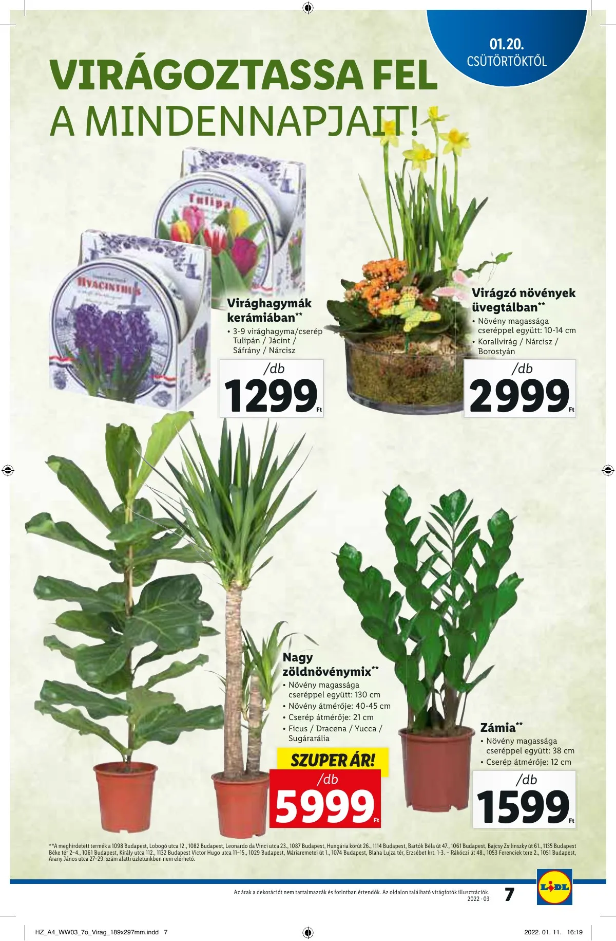 Lidl akciós újság 01.20–01.20 – 7. oldal