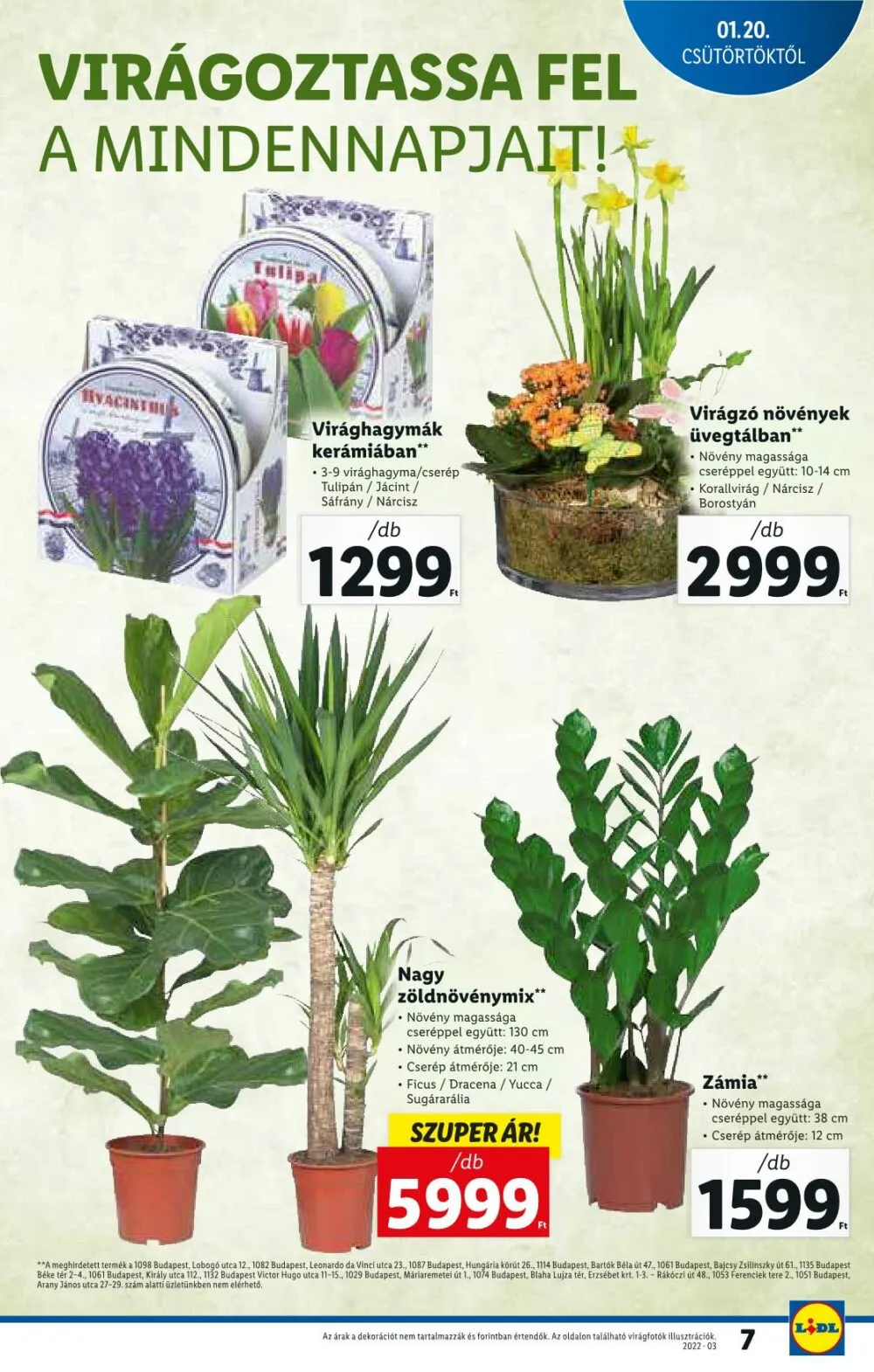 Lidl akciós újság 01.20–01.26 – 7. oldal