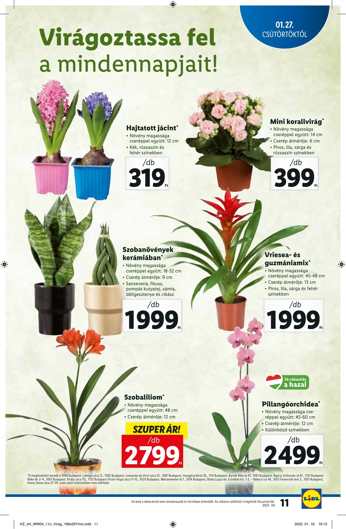 Lidl akciós újság 01.27–02.02 – 11. oldal