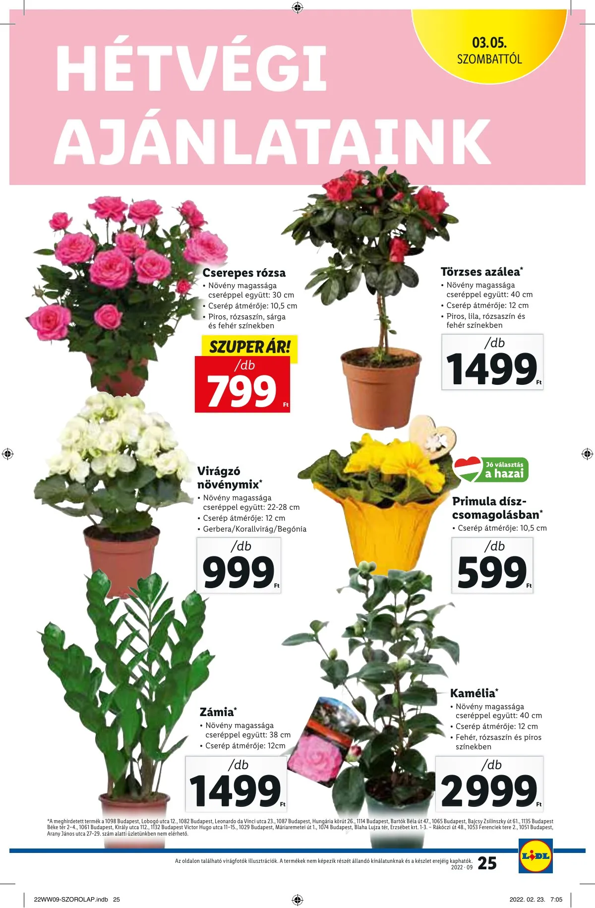 Lidl akciós újság 03.03–03.09 – 25. oldal