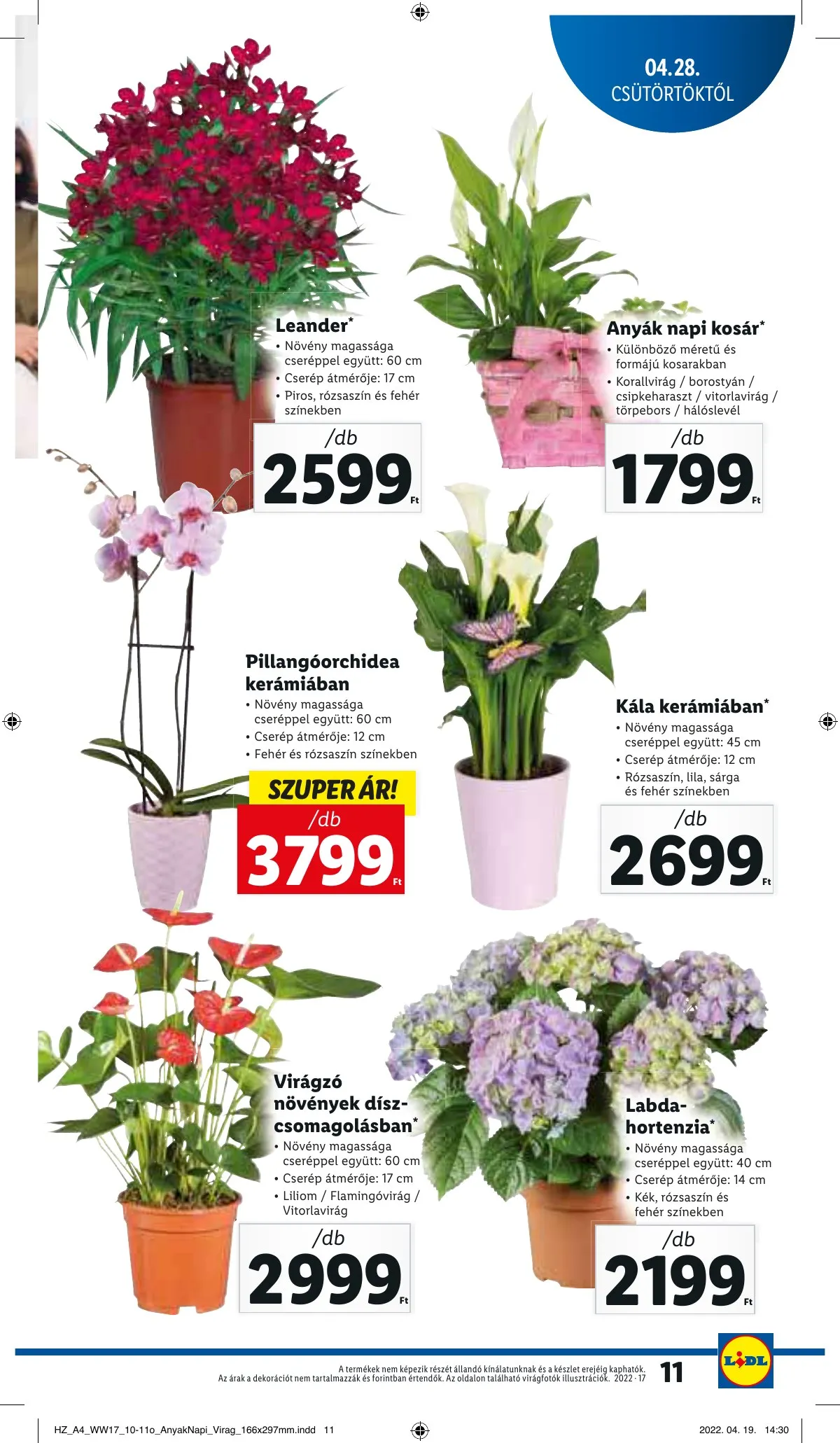 Lidl akciós újság 04.28–05.04 – 11. oldal