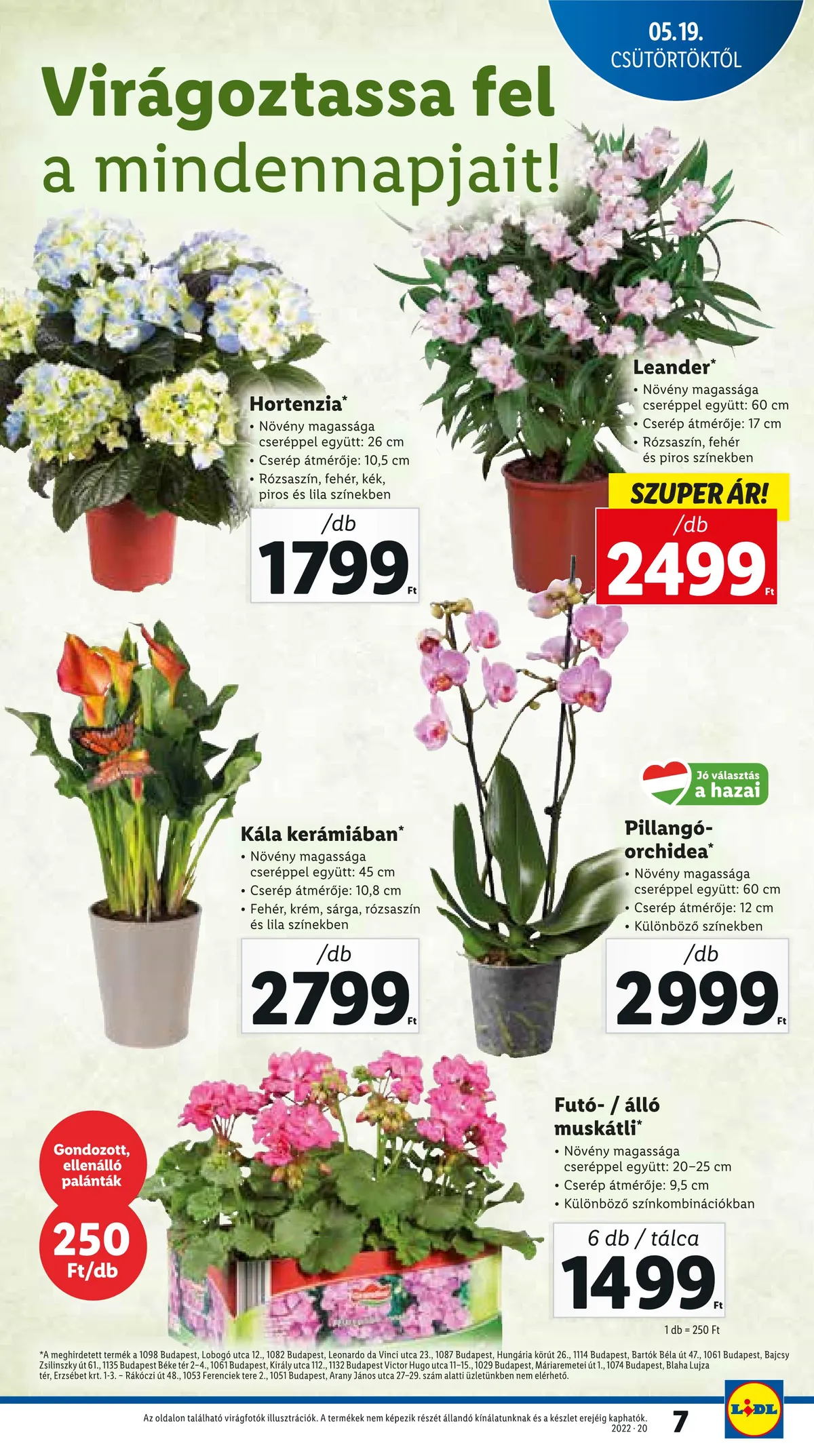 Lidl akciós újság 05.19–05.25 – 7. oldal