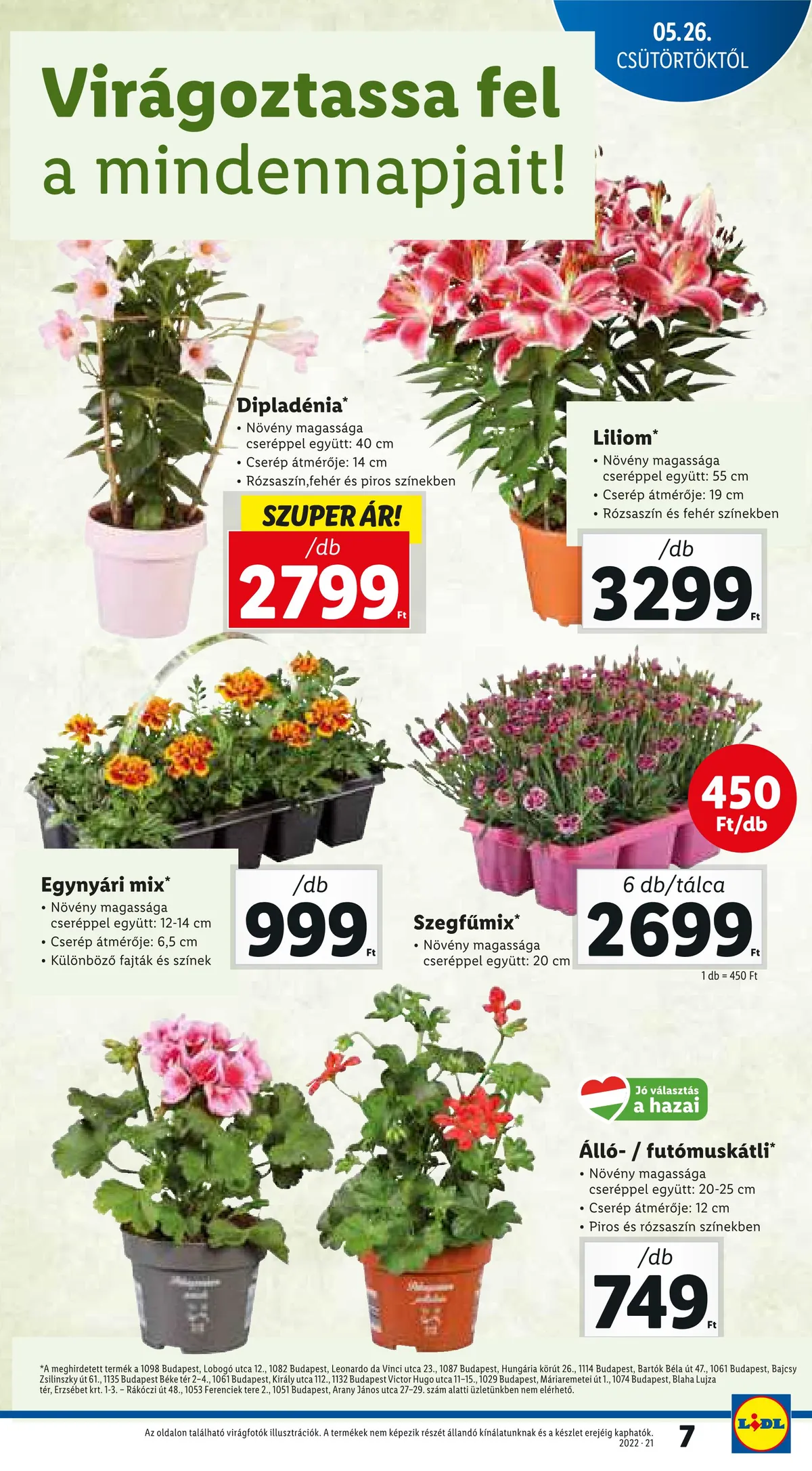 Lidl akciós újság 05.26–06.01 – 7. oldal