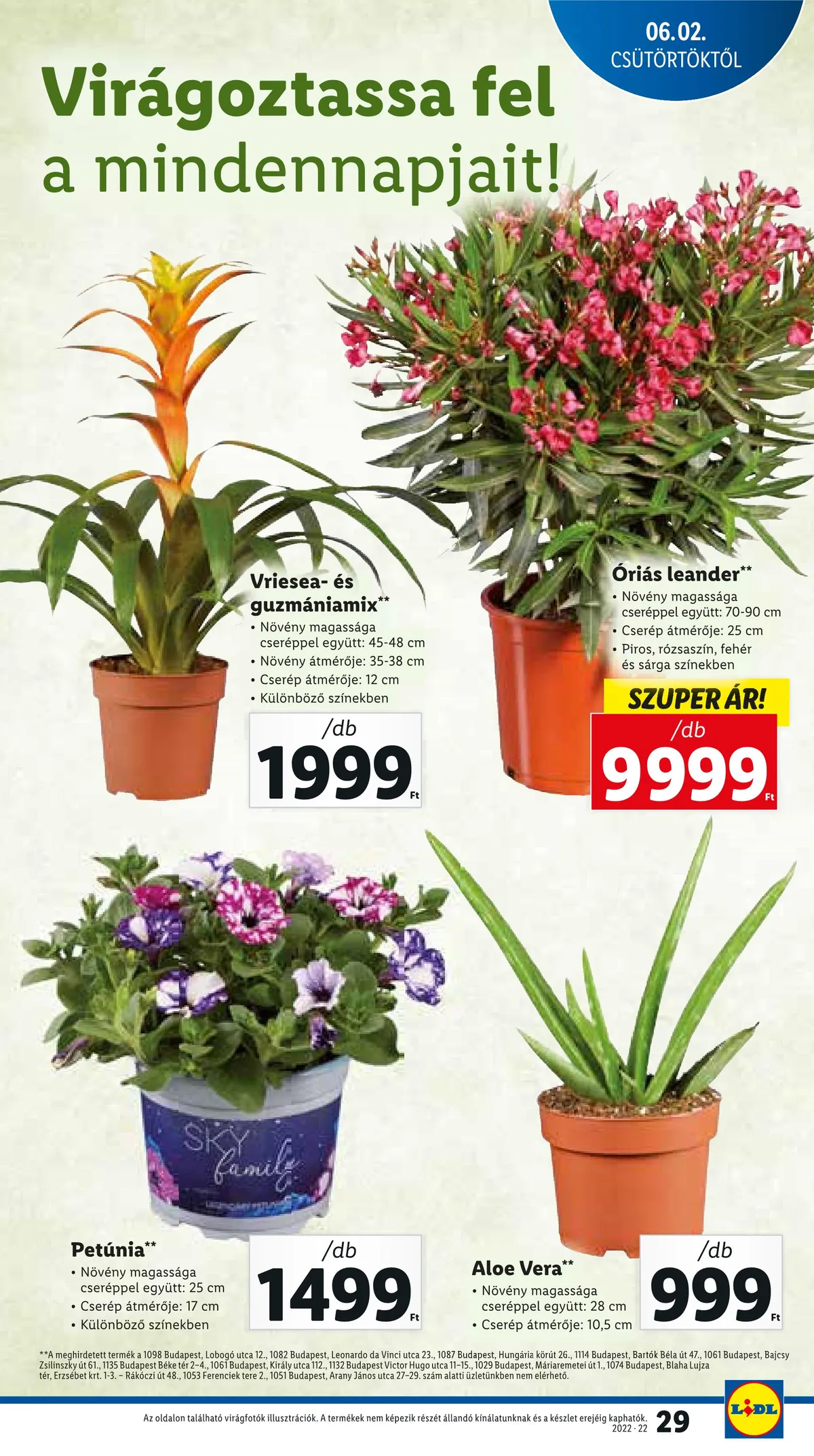Lidl akciós újság 06.02–06.08 – 29. oldal