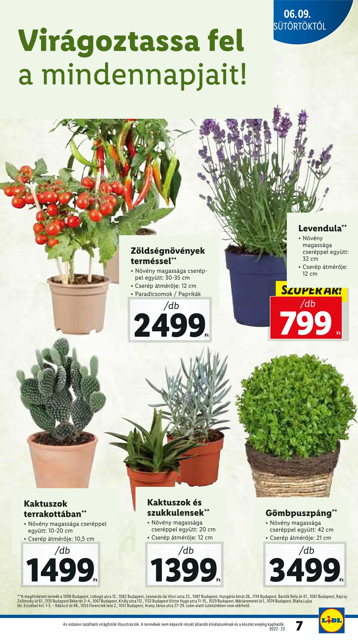 Lidl akciós újság 06.09–06.15 – 7. oldal