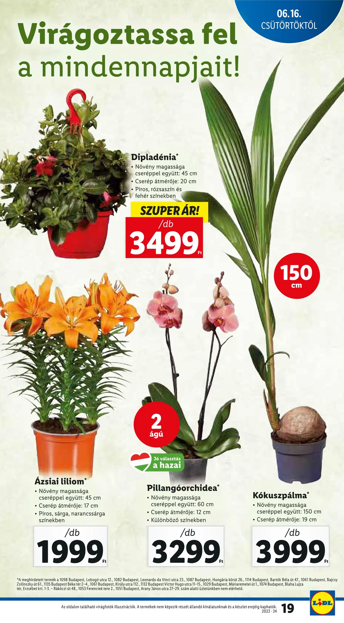 Lidl akciós újság 06.16–06.22 – 19. oldal