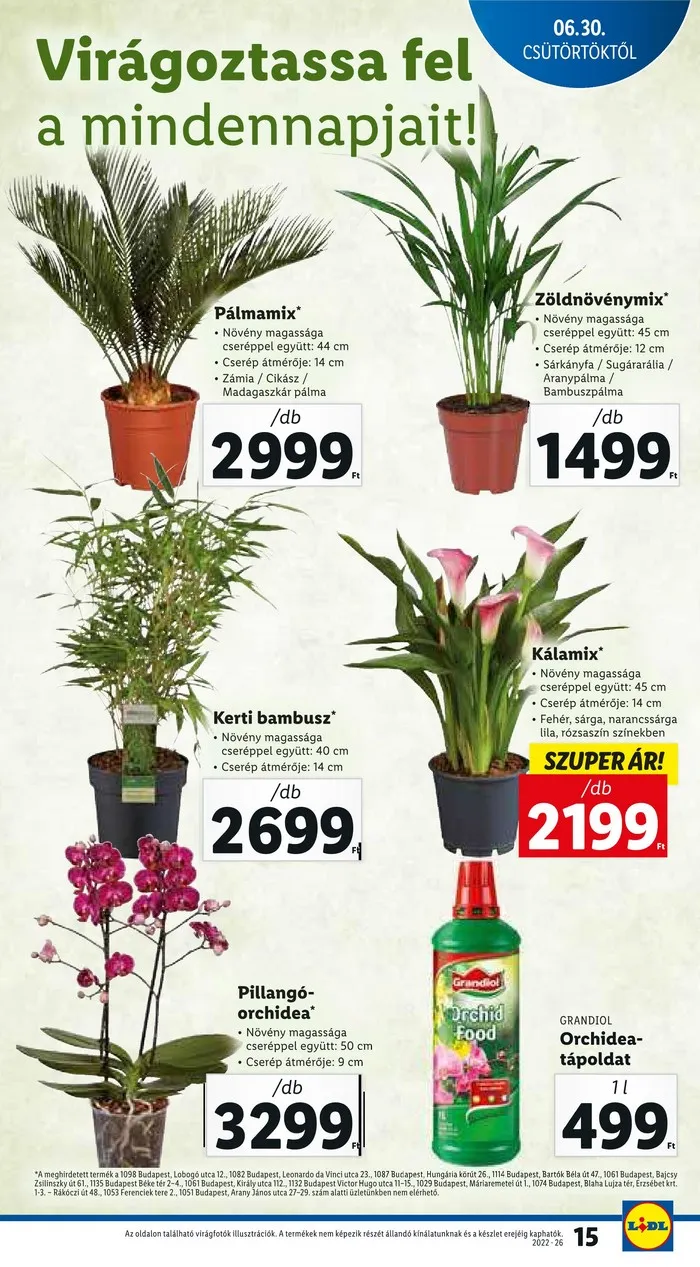 Lidl akciós újság 06.30–07.06 – 15. oldal
