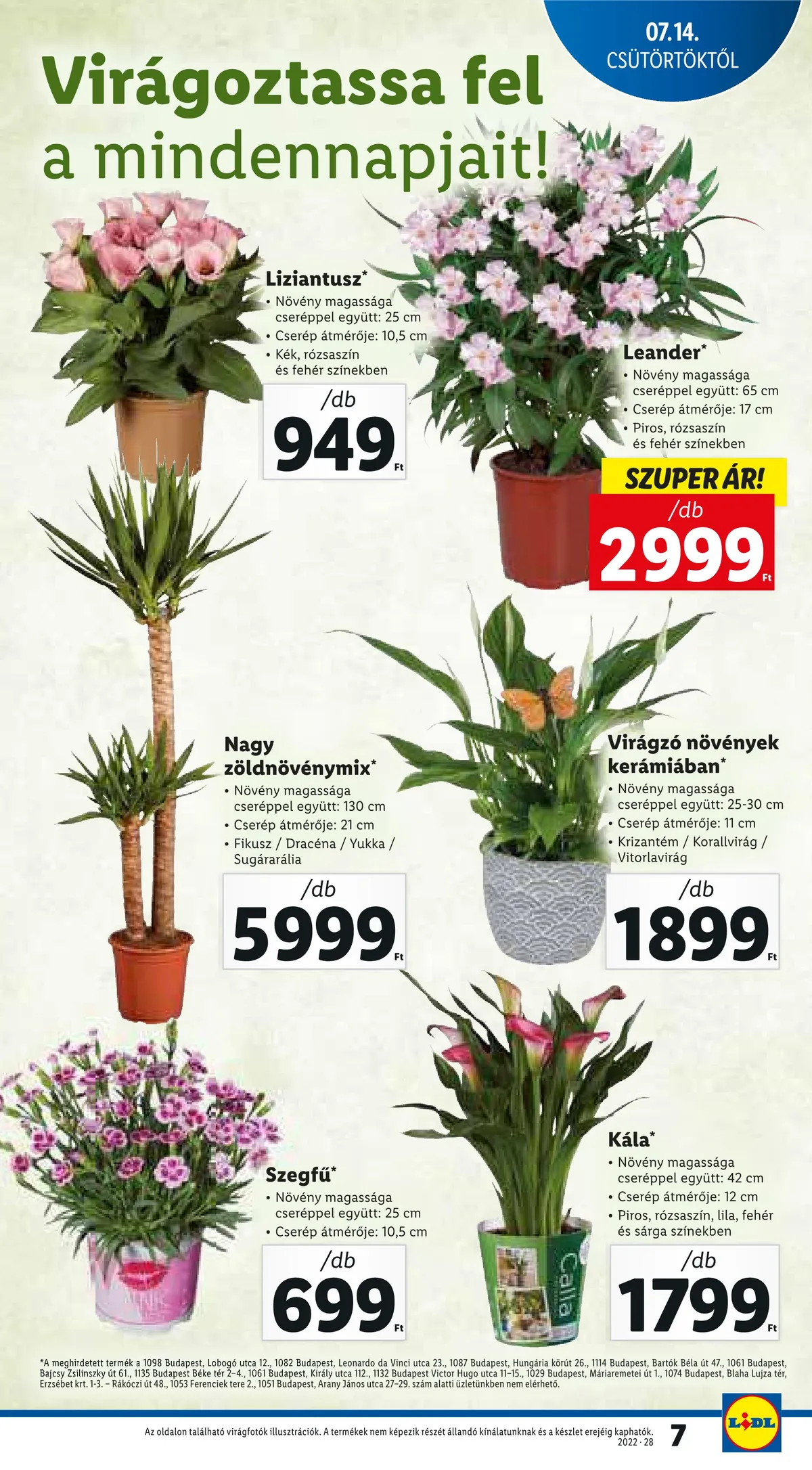 Lidl akciós újság 07.14–07.20 – 7. oldal