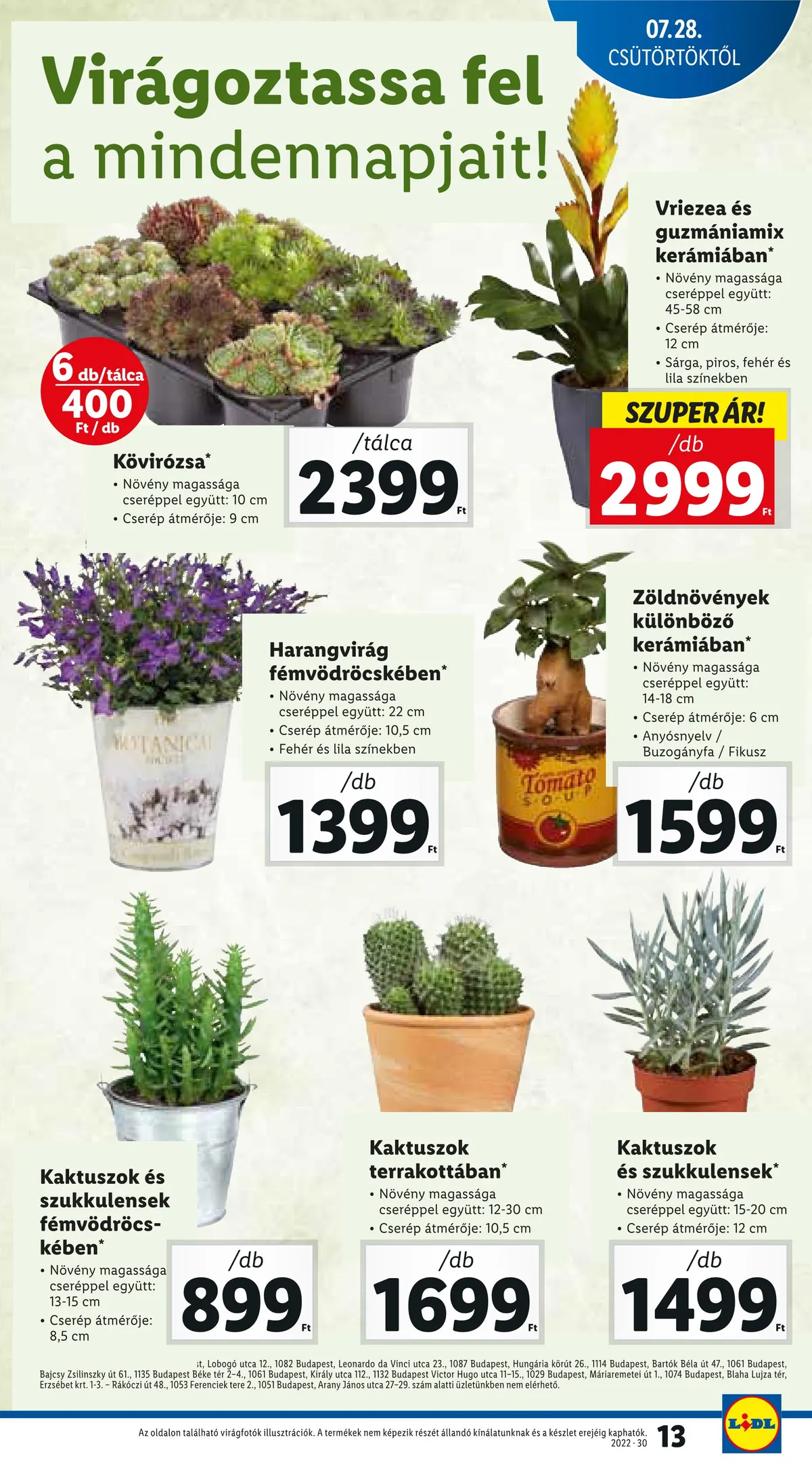 Lidl akciós újság 07.28–08.03 – 13. oldal