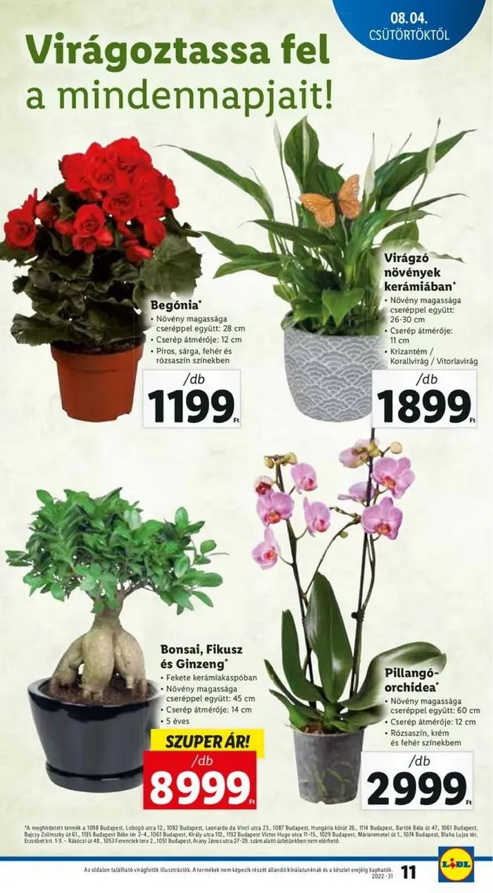 Lidl akciós újság 08.04–08.10 – 11. oldal