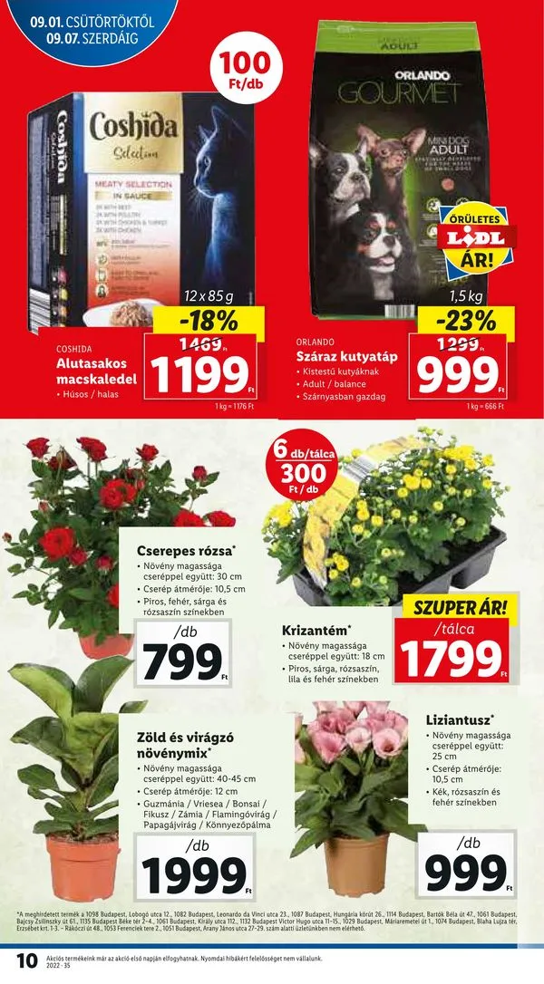 Lidl akciós újság 09.01–09.07 – 10. oldal