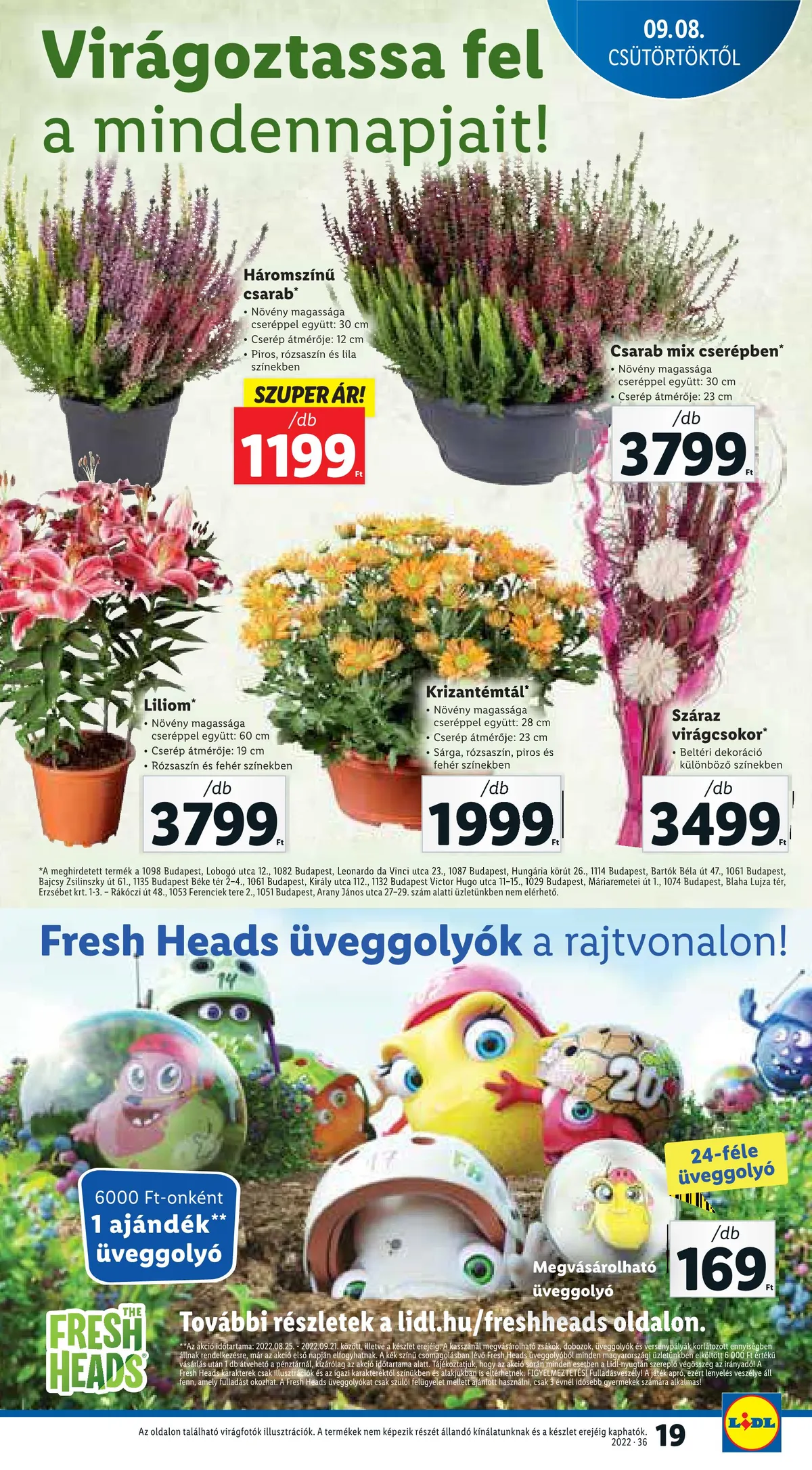 Lidl akciós újság 09.08–09.14 – 19. oldal