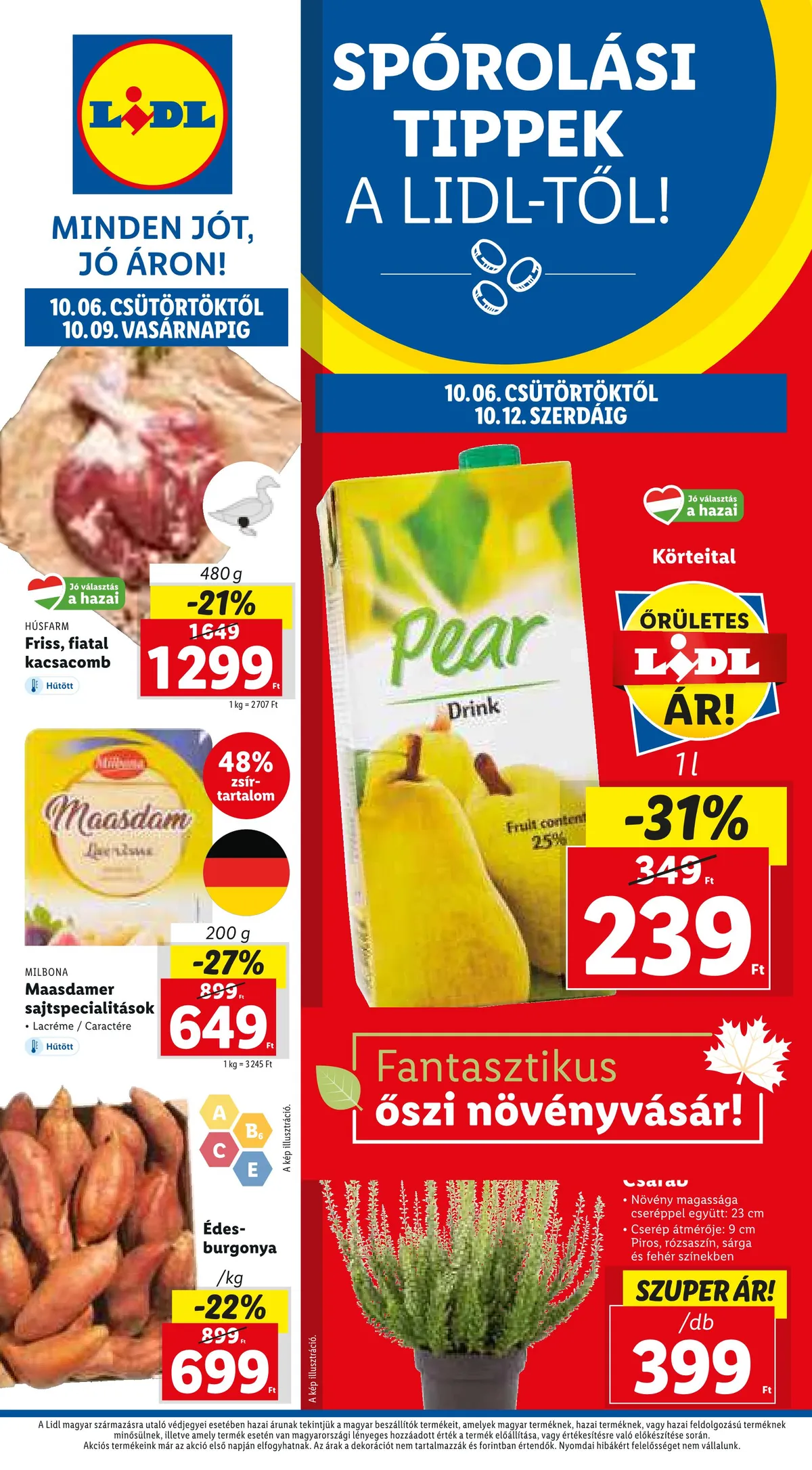 Lidl akciós újság 10.06–10.12