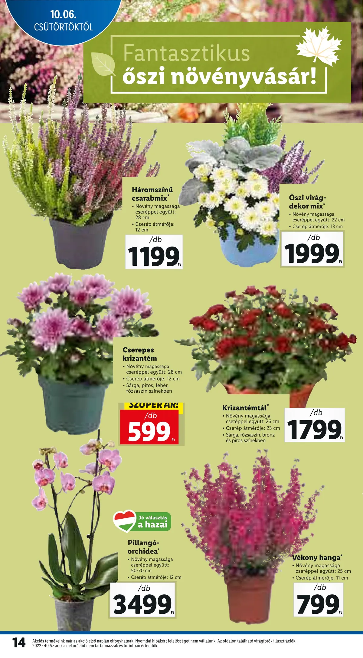 Lidl akciós újság 10.06–10.12 – 14. oldal