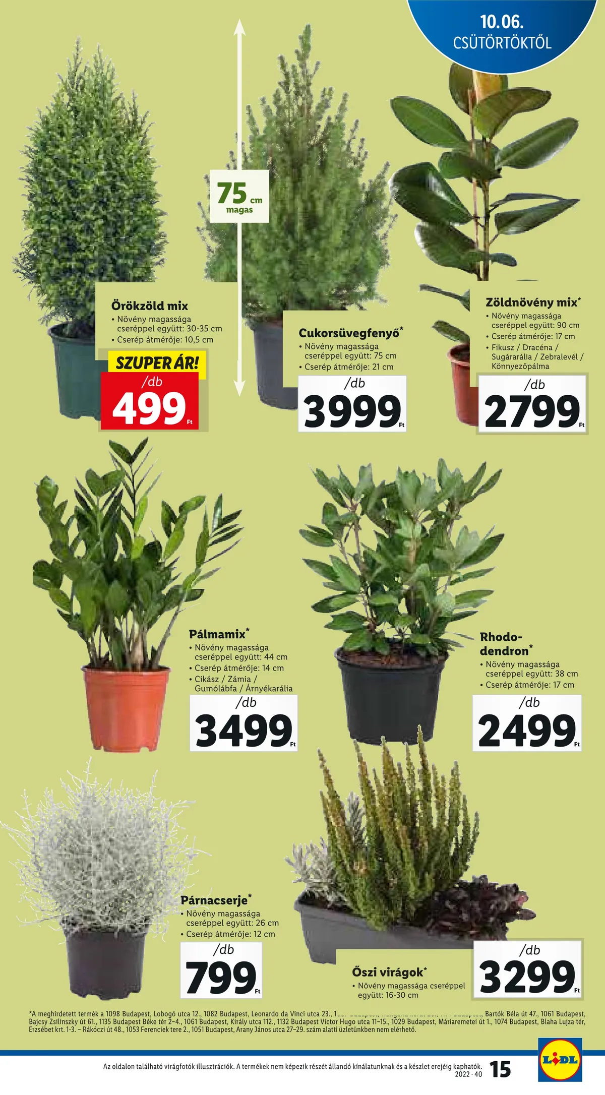 Lidl akciós újság 10.06–10.12 – 15. oldal