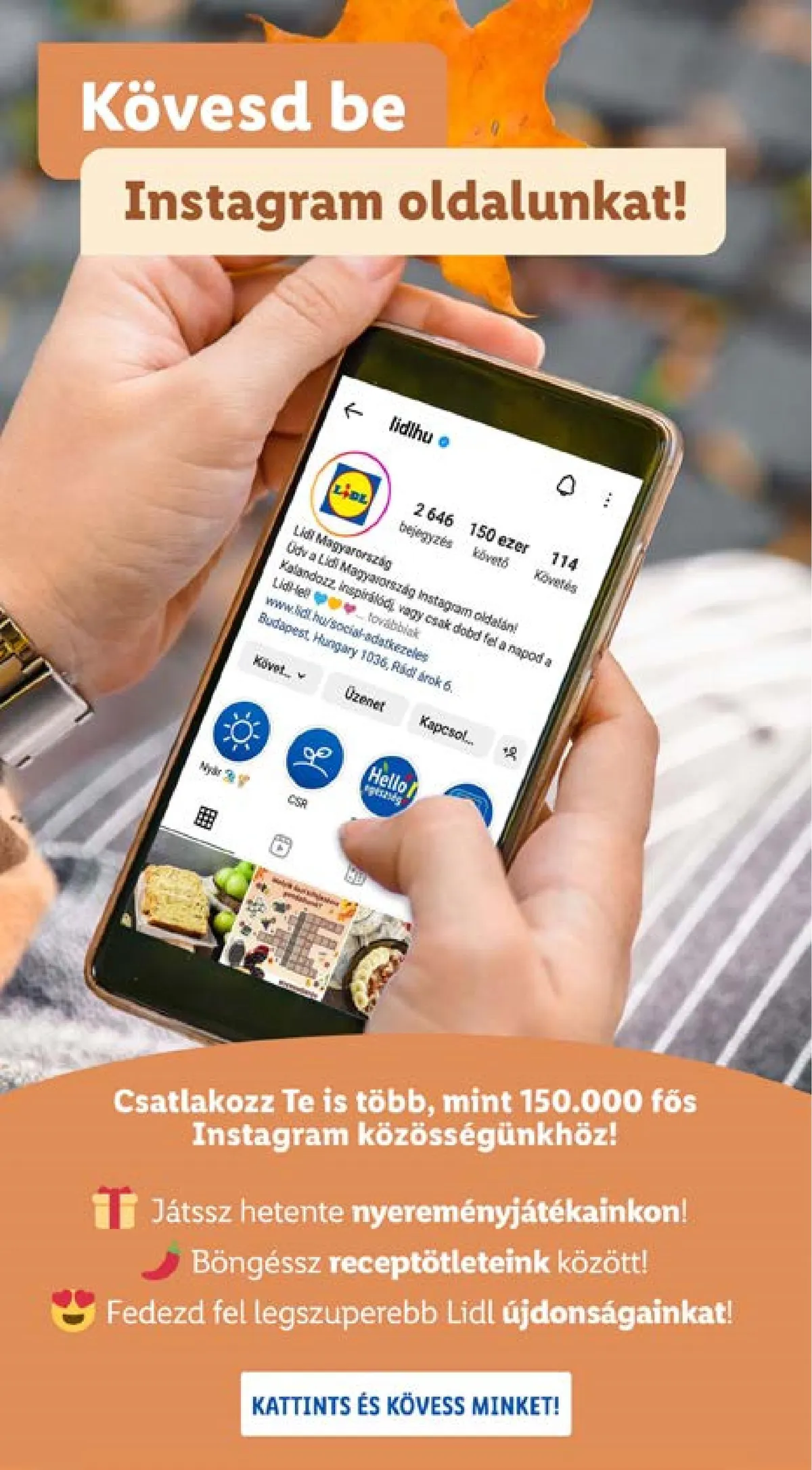 Lidl akciós újság 11.03–11.09 – 49. oldal