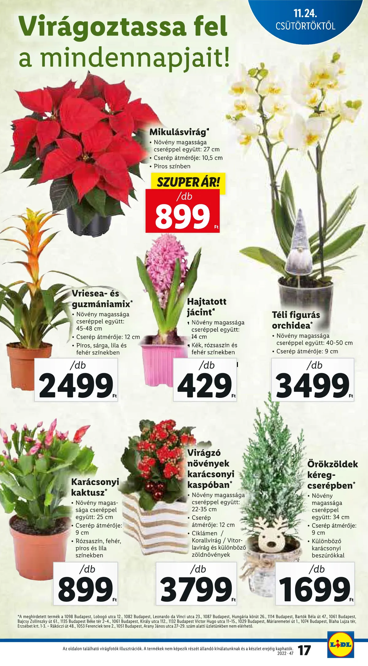 Lidl akciós újság 11.24–11.30 – 17. oldal