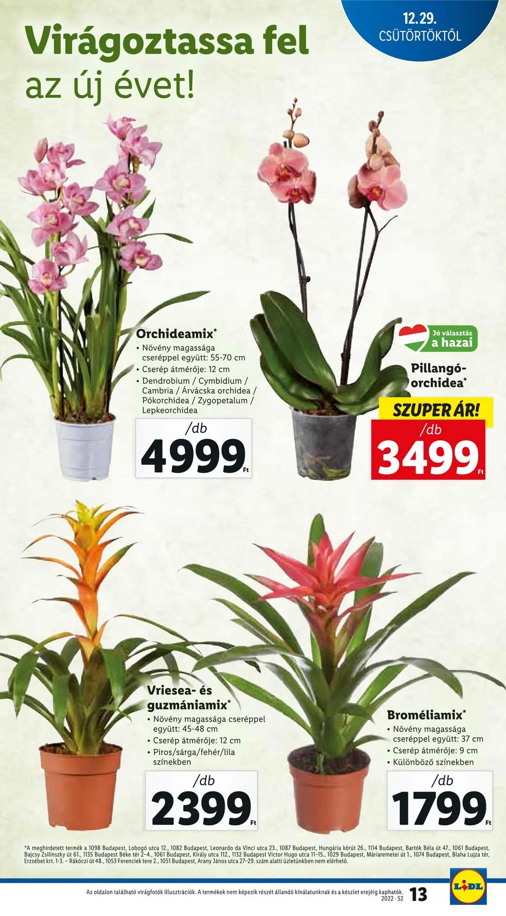Lidl akciós újság 12.29–01.04 – 13. oldal