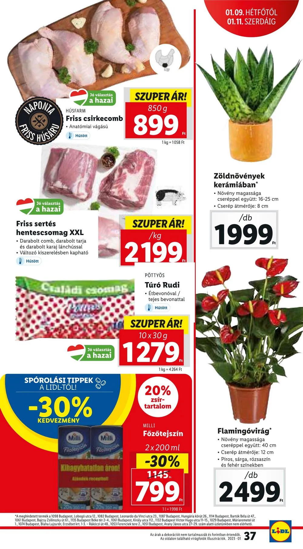 Lidl akciós újság 01.05–01.11 – 37. oldal