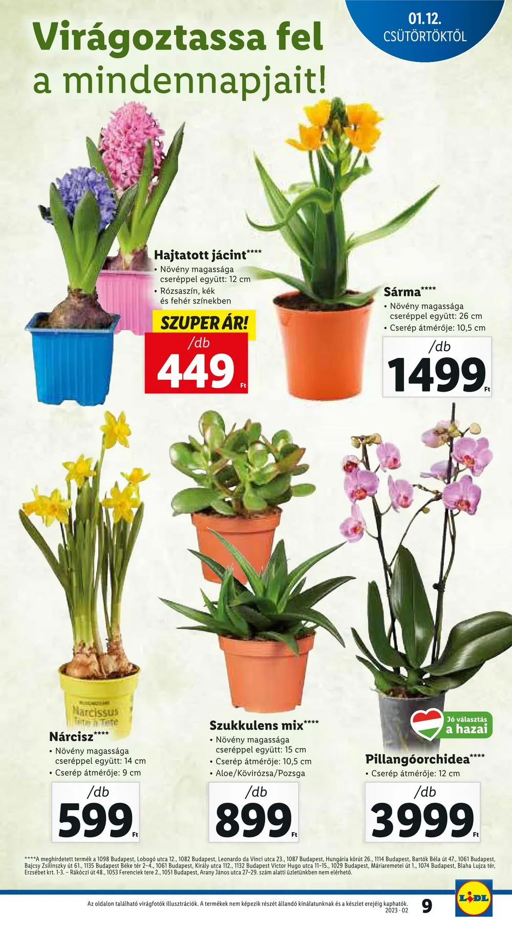 Lidl akciós újság 01.12–01.18 – 9. oldal