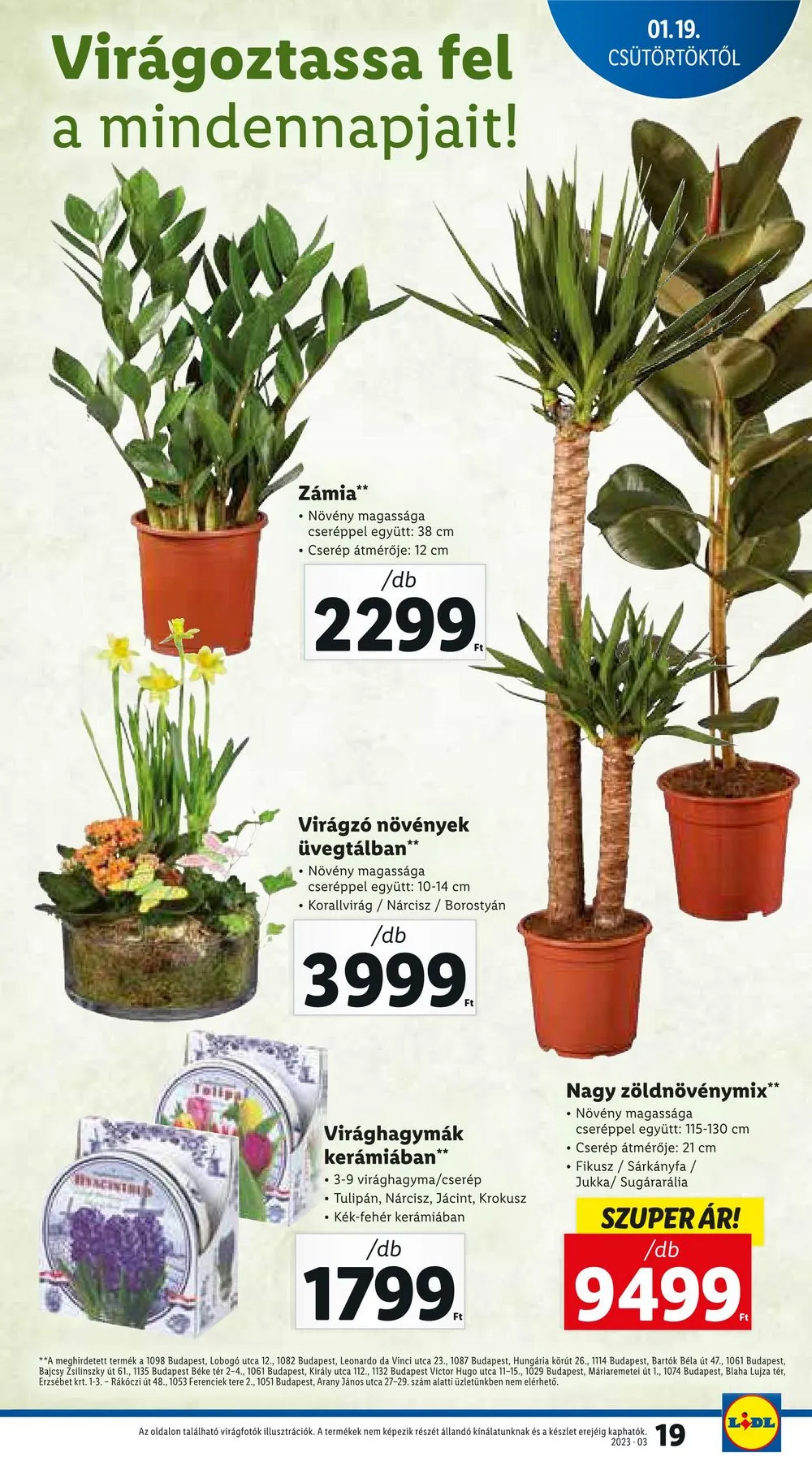 Lidl akciós újság 01.19–01.25 – 19. oldal
