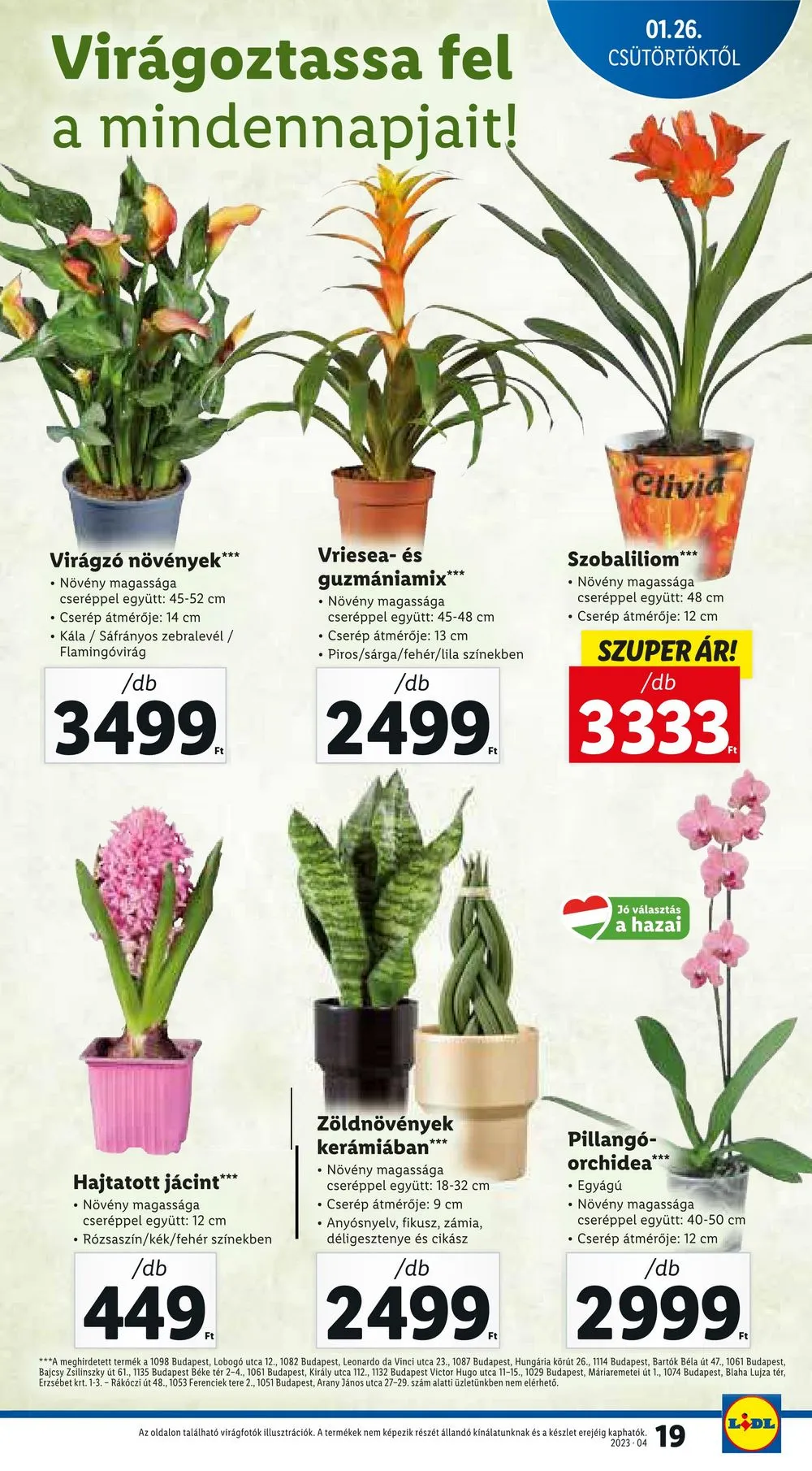 Lidl akciós újság 01.26–02.01 – 19. oldal