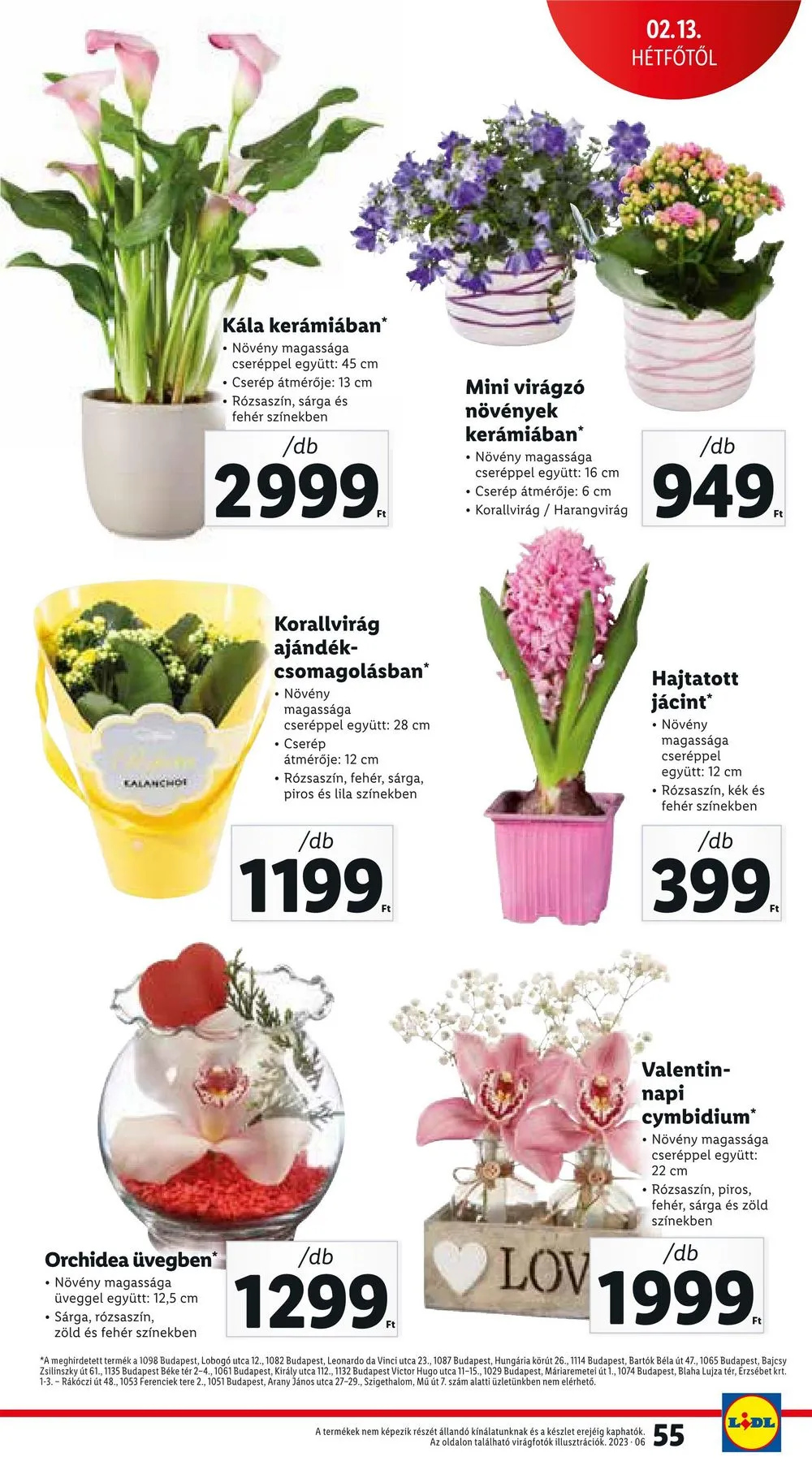 Lidl akciós újság 02.09–02.15 – 55. oldal