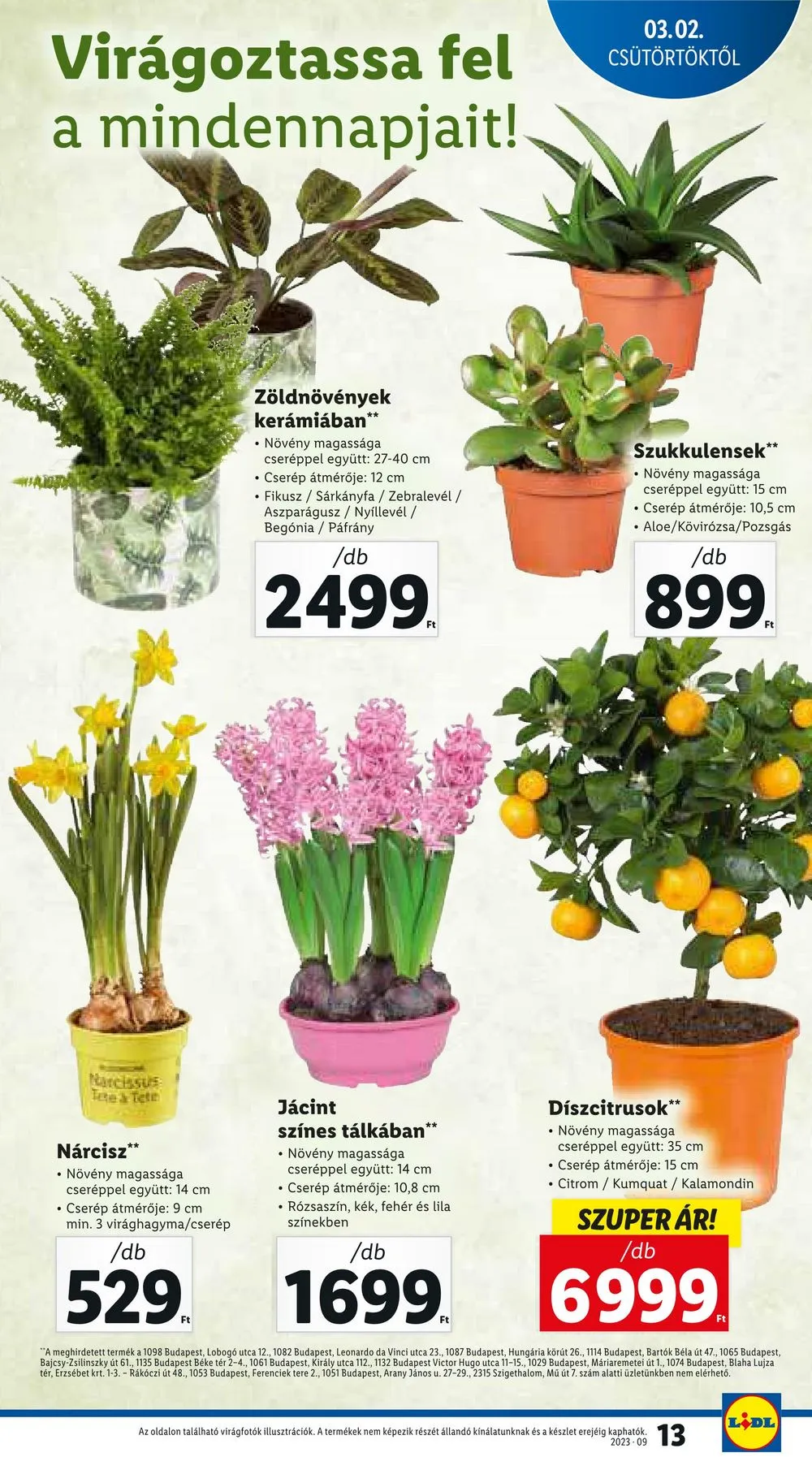 Lidl akciós újság 03.02–03.08 – 13. oldal