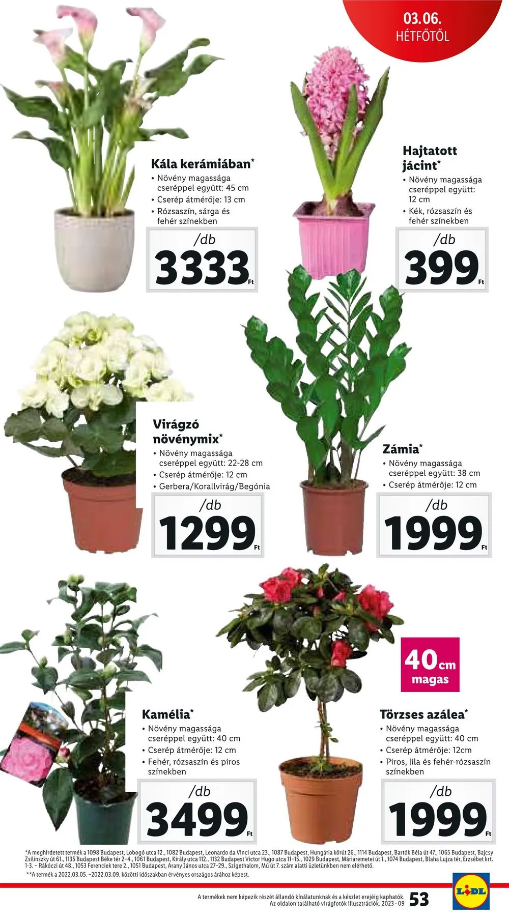 Lidl akciós újság 03.02–03.08 – 53. oldal