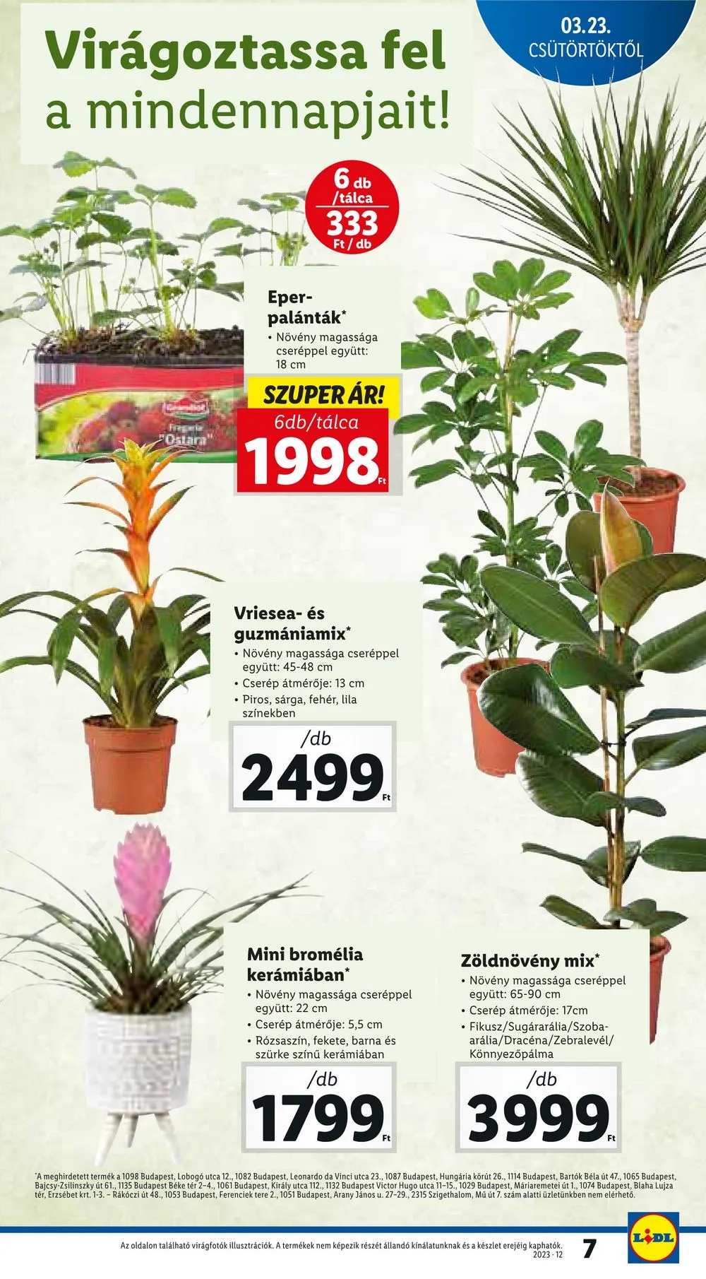 Lidl akciós újság 03.23–03.29 – 7. oldal