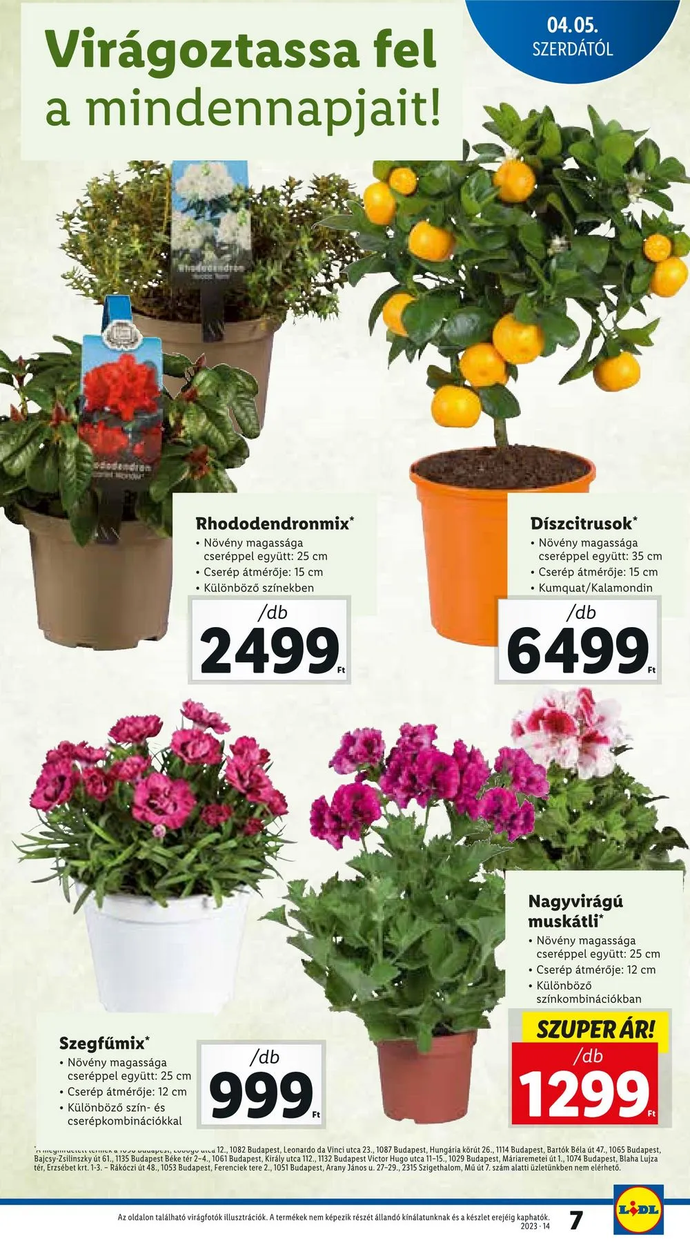 Lidl akciós újság 04.05–04.08 – 7. oldal