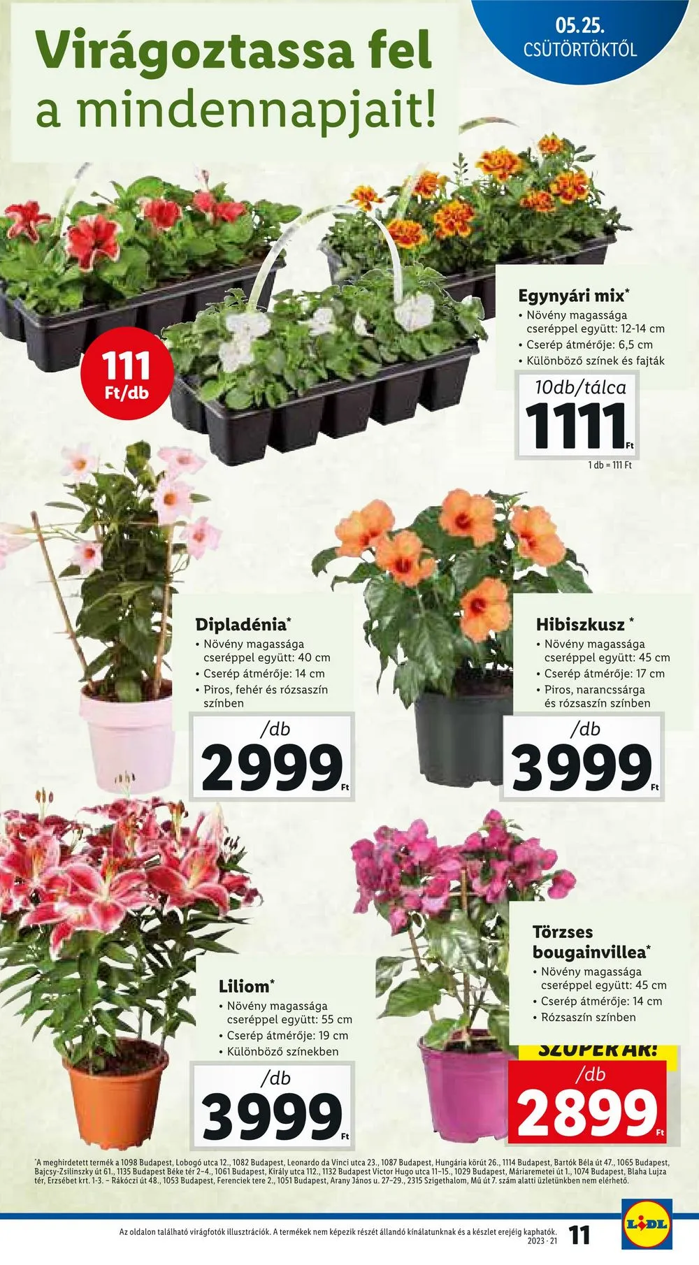 Lidl akciós újság 05.25–05.31 – 11. oldal