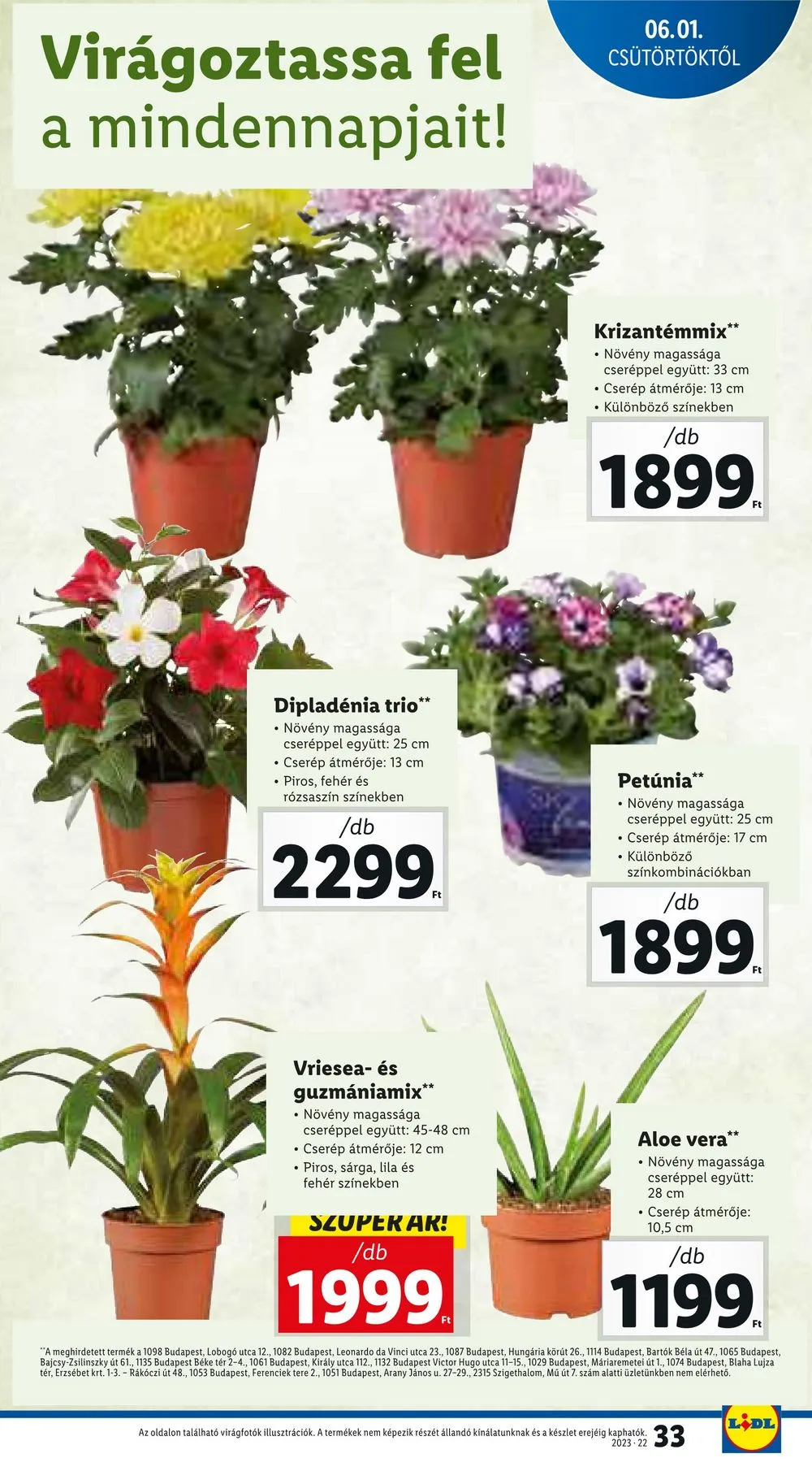 Lidl akciós újság 06.01–06.07 – 33. oldal