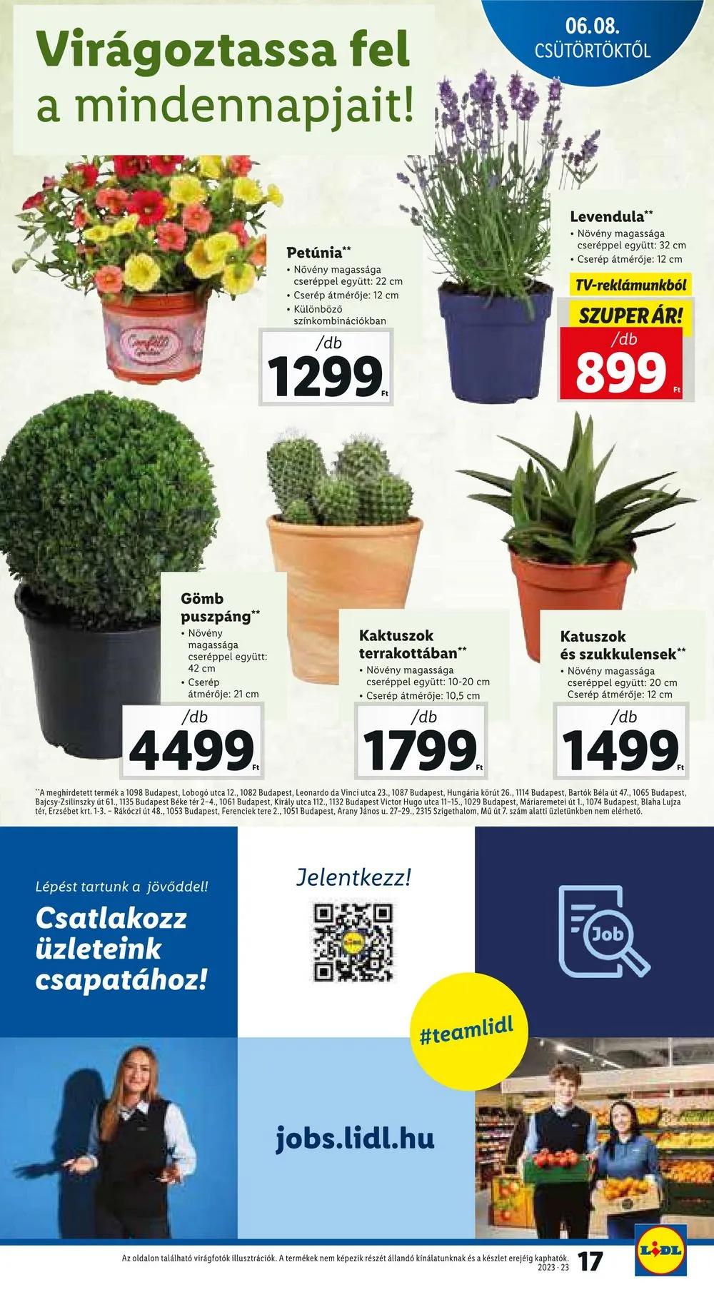 Lidl akciós újság 06.08–06.14 – 17. oldal