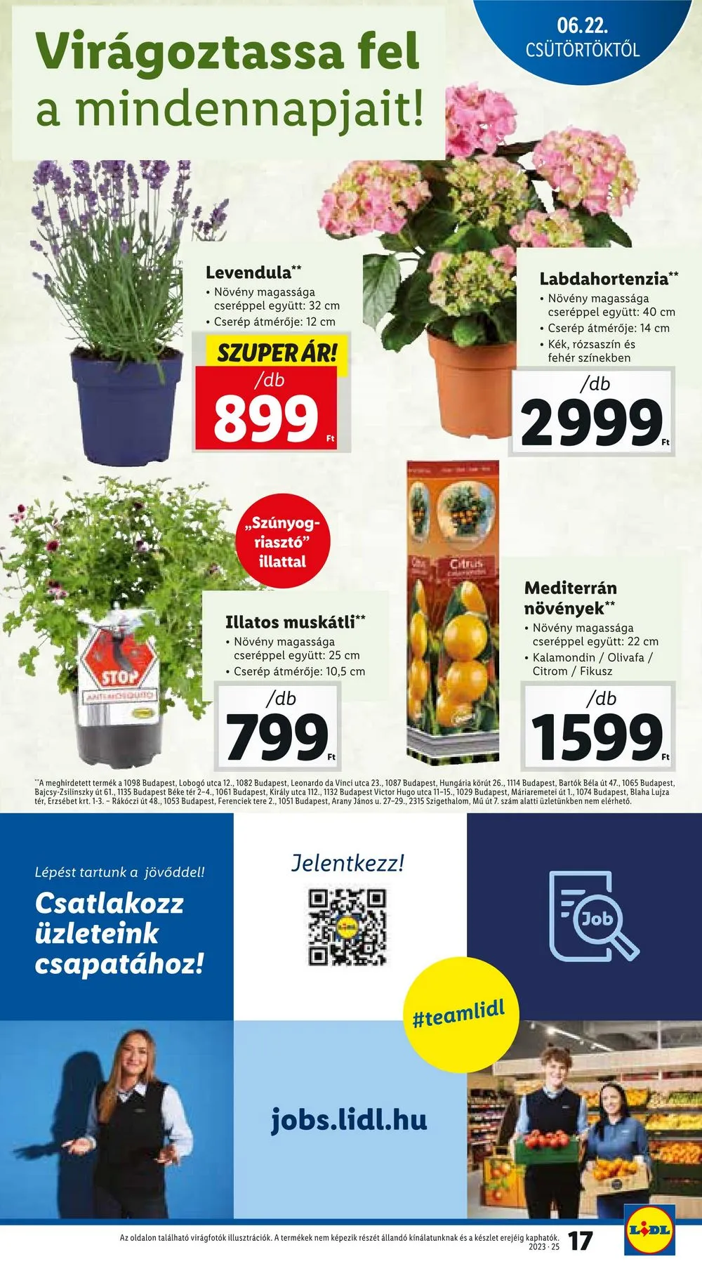 Lidl akciós újság 06.22–06.28 – 17. oldal