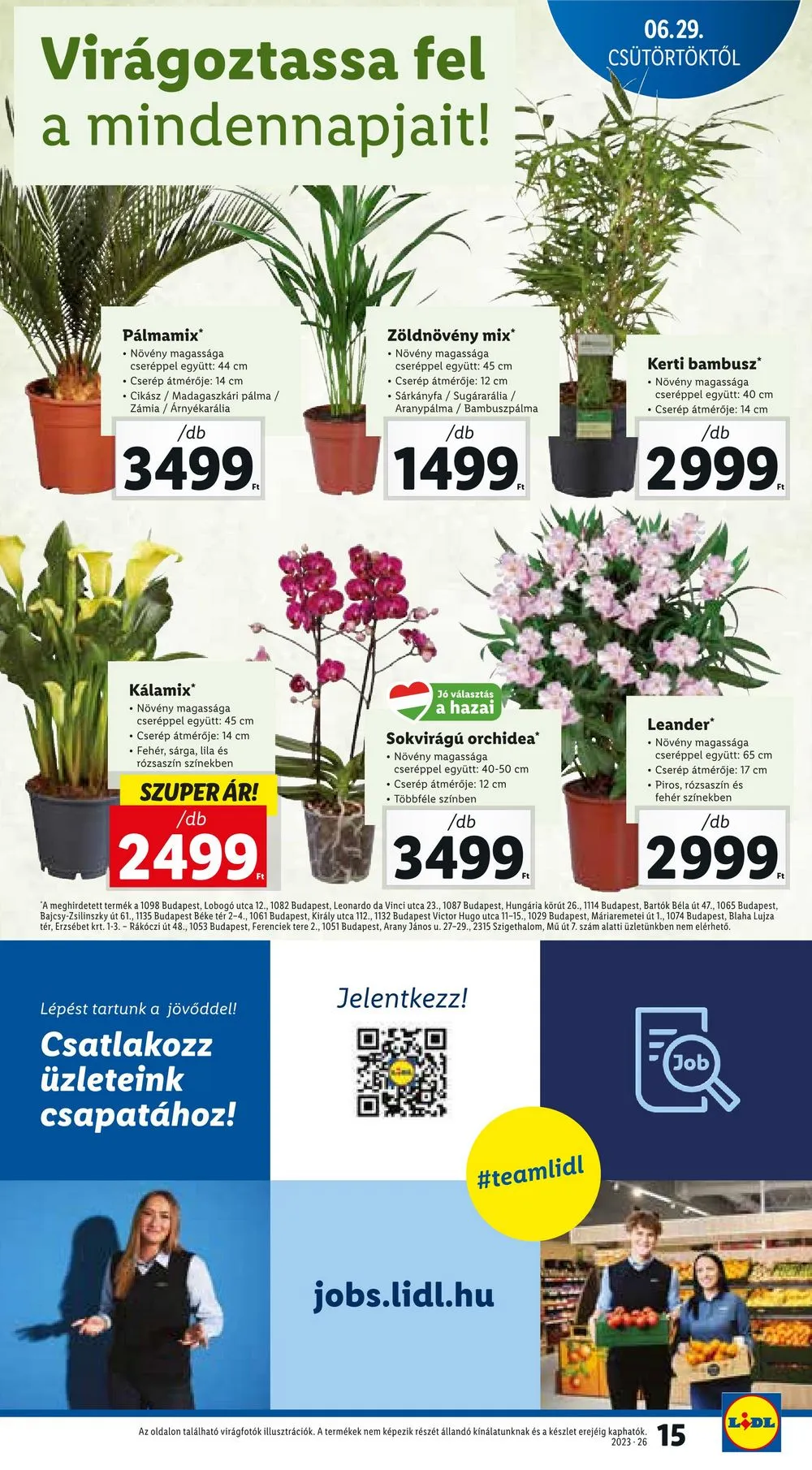 Lidl akciós újság 06.29–07.02 – 15. oldal