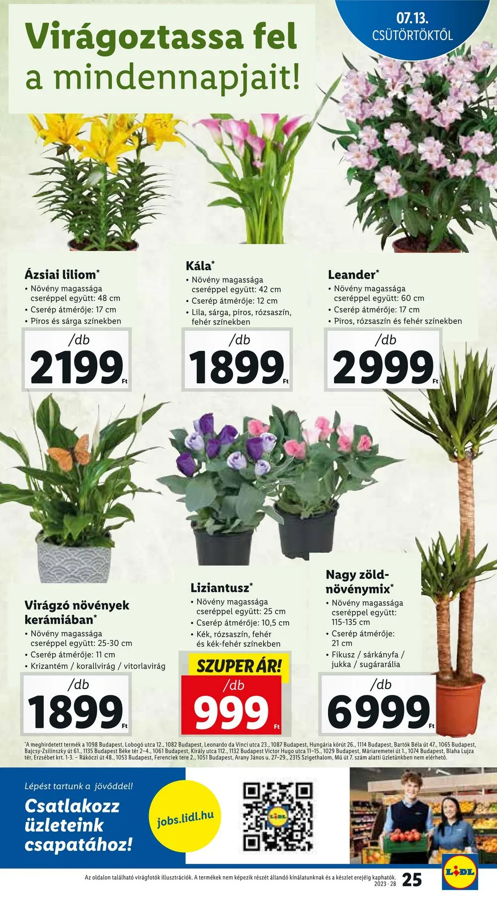 Lidl akciós újság 07.13–07.19 – 25. oldal