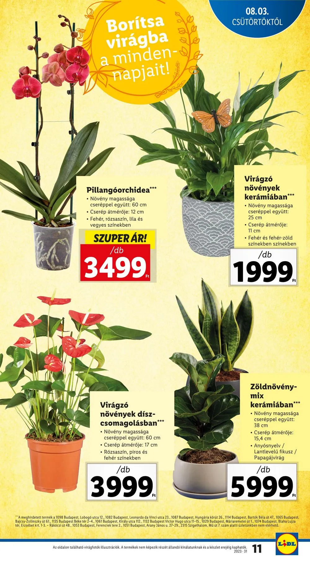 Lidl akciós újság 08.03–08.09 – 11. oldal