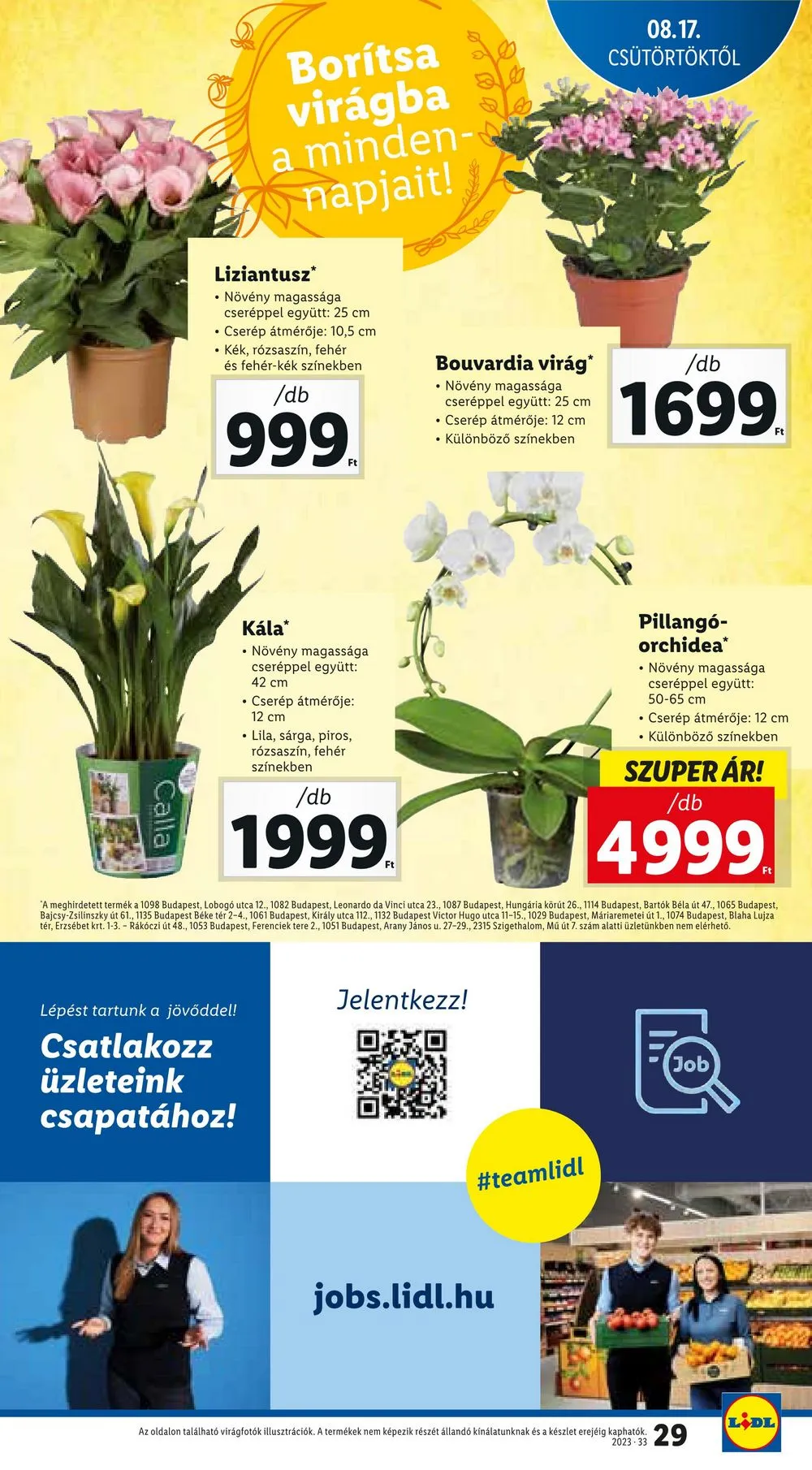 Lidl akciós újság 08.17–08.23 – 29. oldal