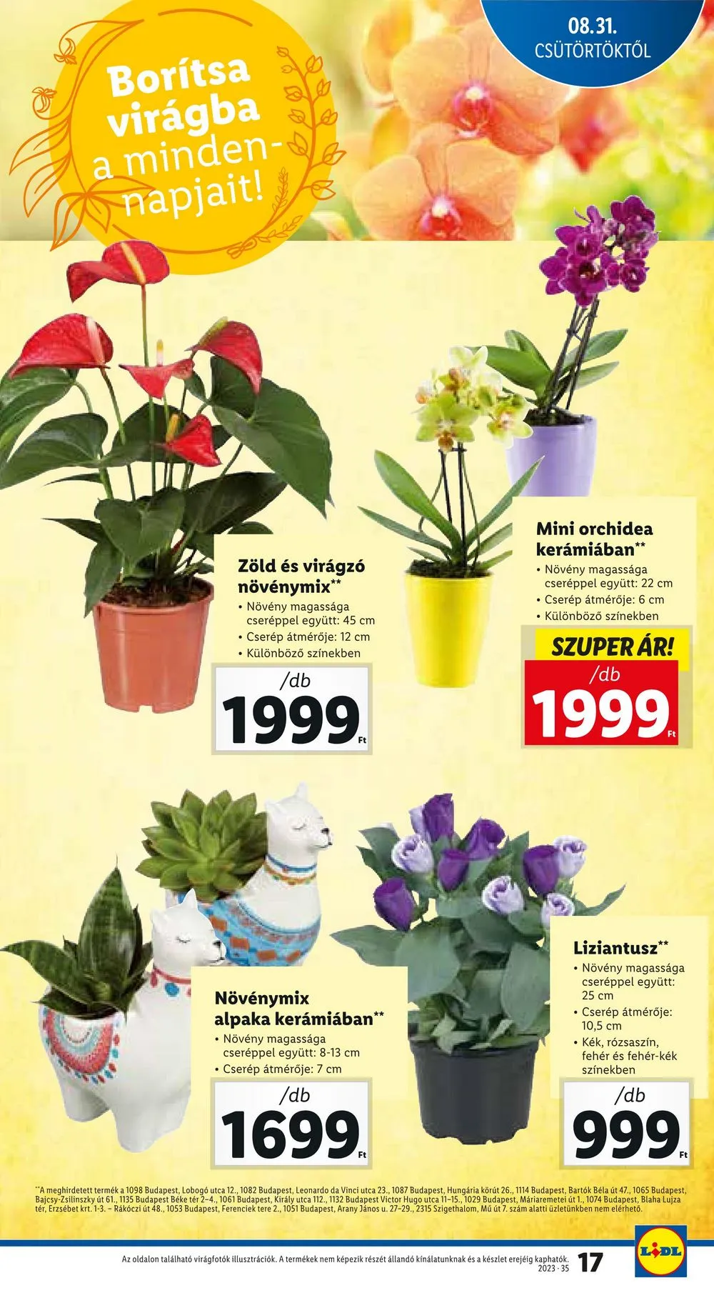 Lidl akciós újság 08.31–09.06 – 17. oldal