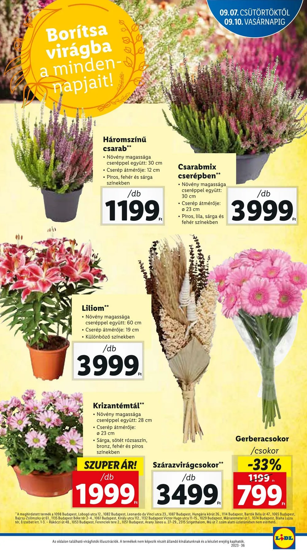 Lidl akciós újság 09.07–09.13 – 25. oldal