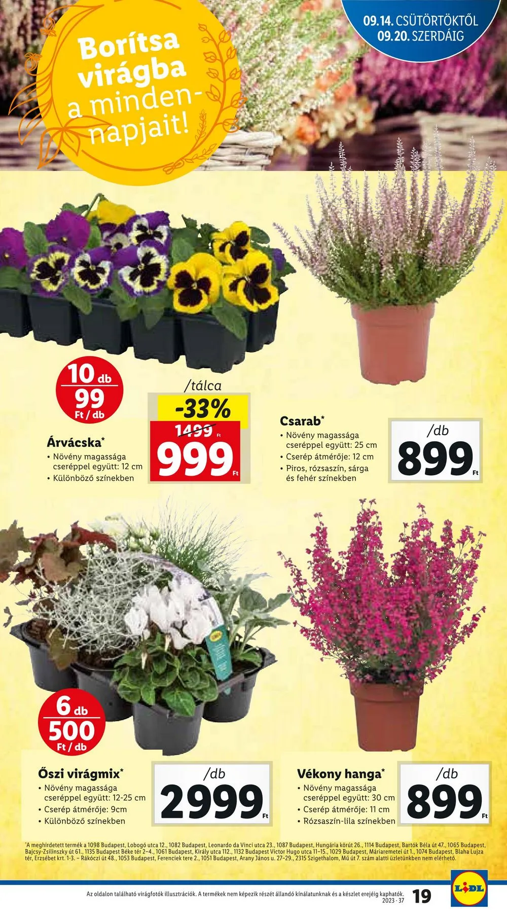 Lidl akciós újság 09.14–09.20 – 19. oldal