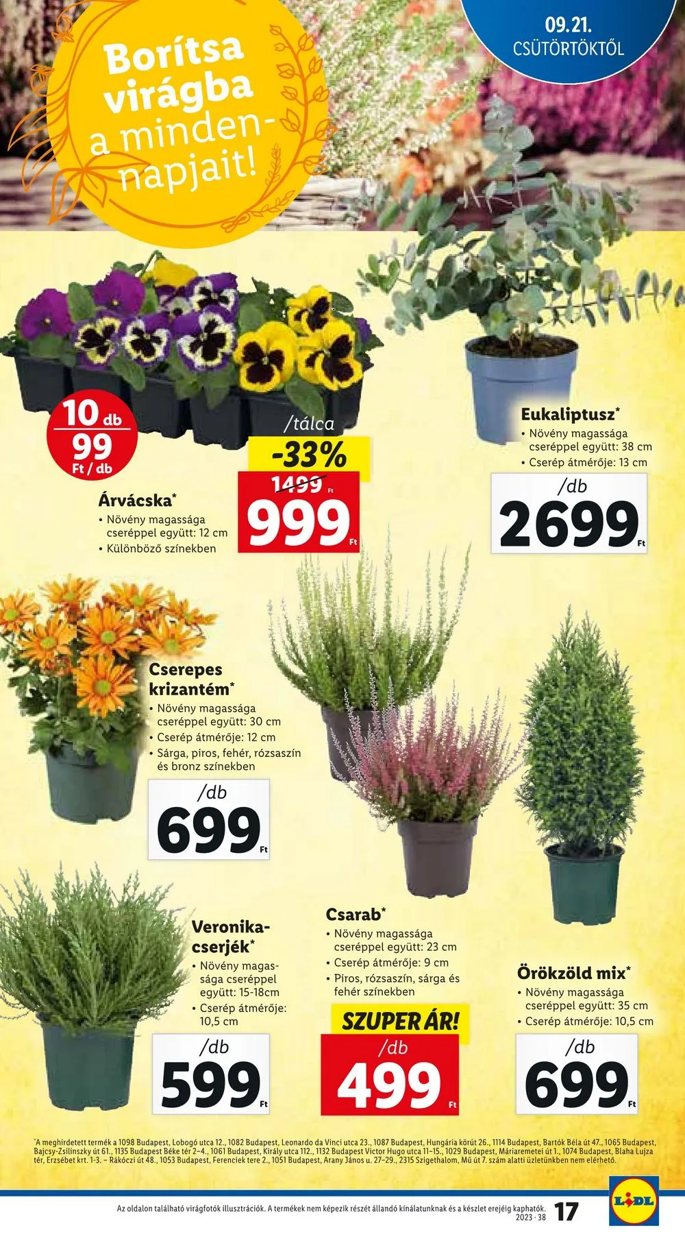Lidl akciós újság 09.21–09.27 – 17. oldal