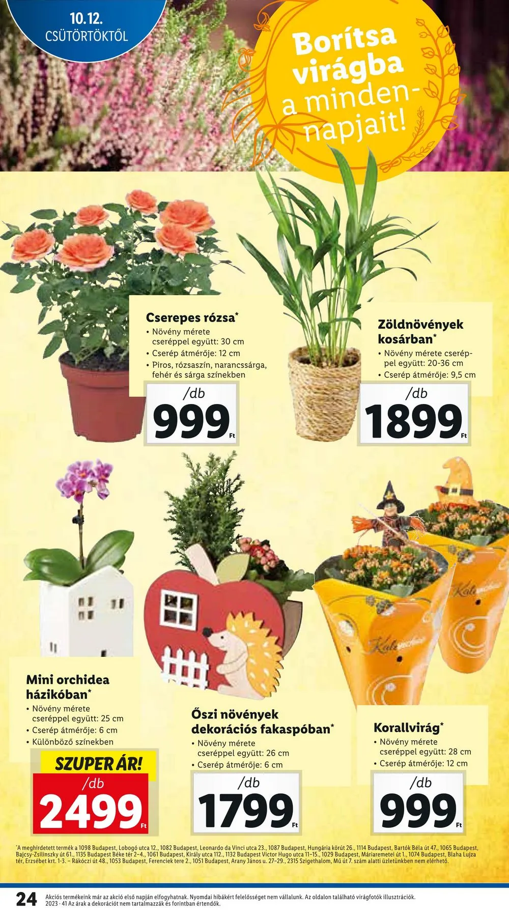 Lidl akciós újság 10.12–10.18 – 24. oldal